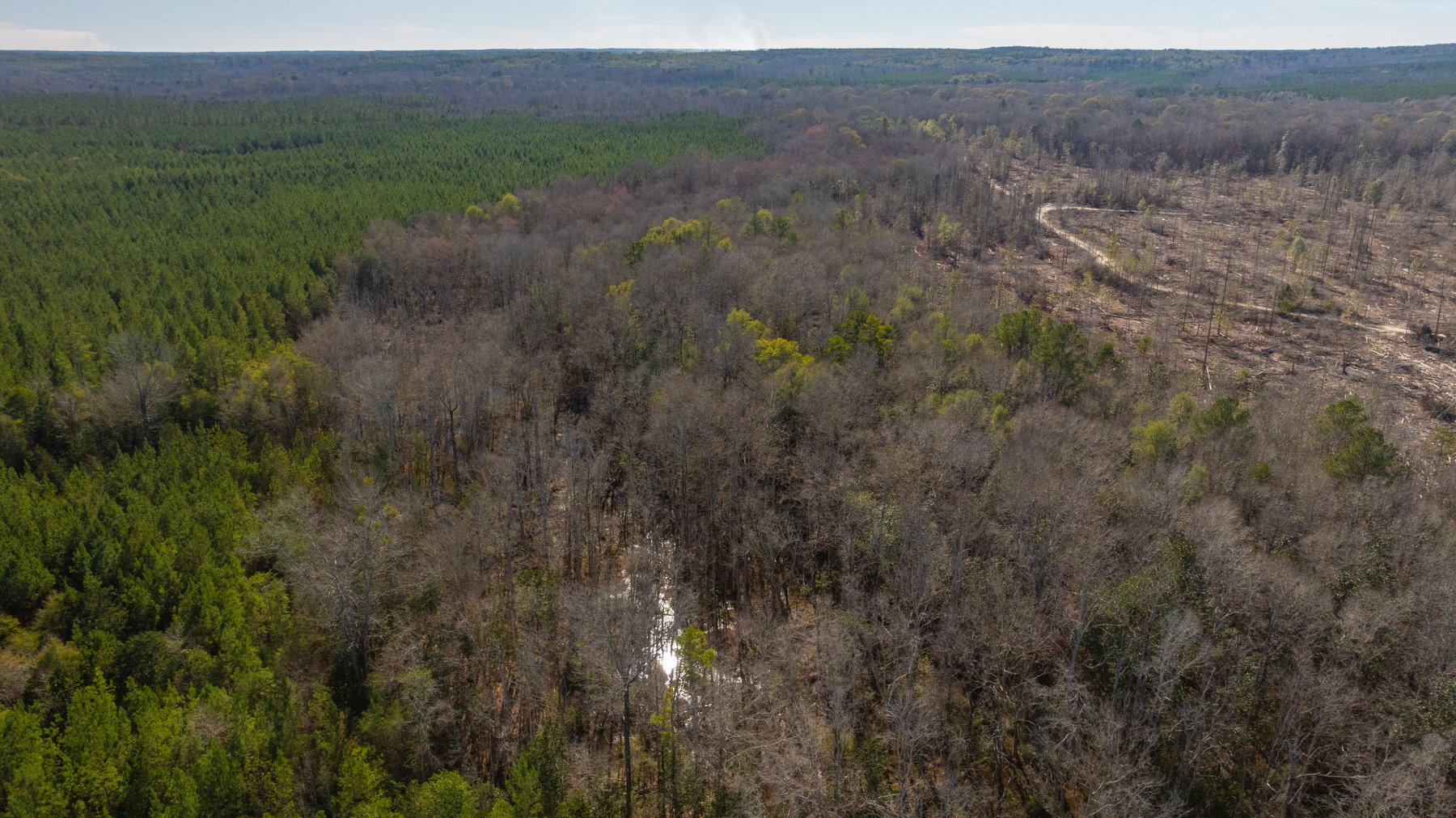 Image for 403± Total Acres - Minick Tract - Merchantable Planted Pine - Kinchafoonee Creek Frontage