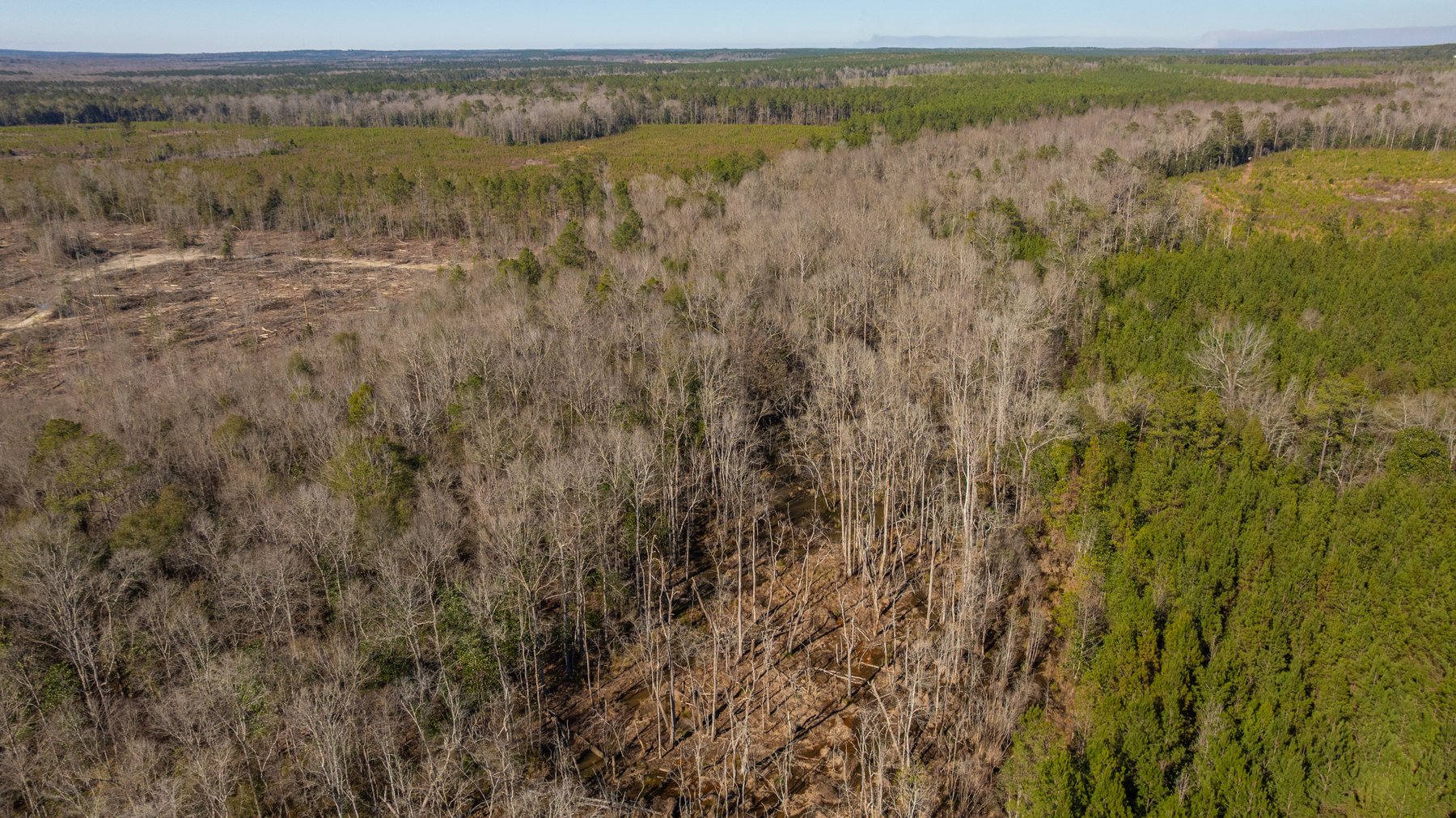 Image for 403± Total Acres - Minick Tract - Merchantable Planted Pine - Kinchafoonee Creek Frontage