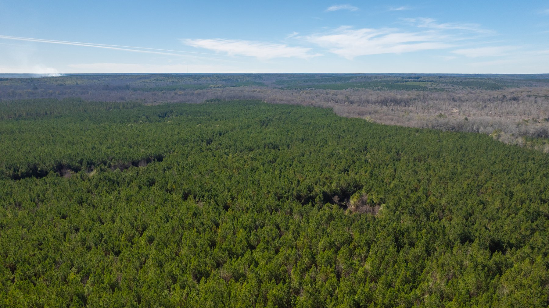 Image for 403± Total Acres - Minick Tract - Merchantable Planted Pine - Kinchafoonee Creek Frontage