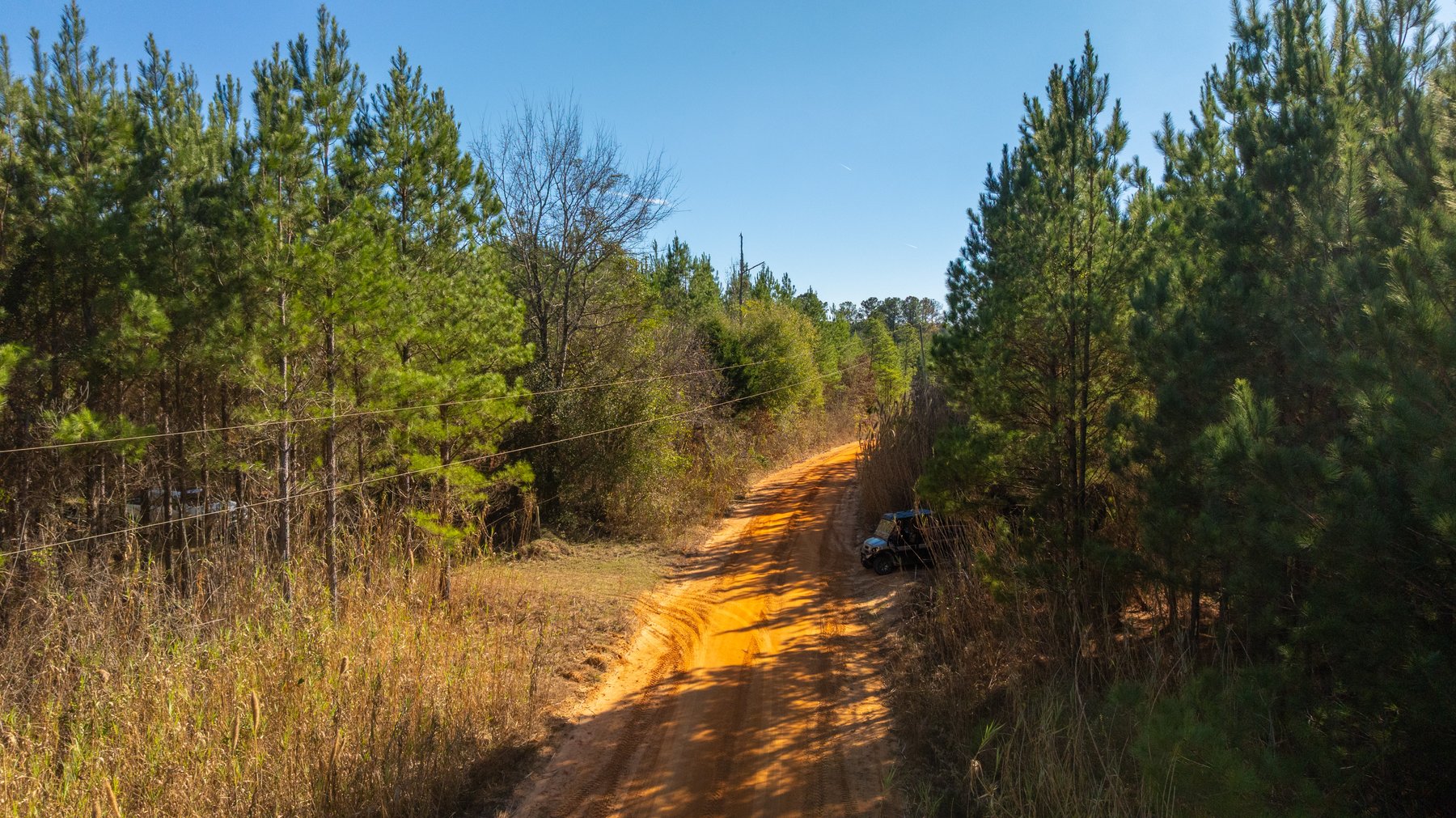 Image for 403± Total Acres - Minick Tract - Merchantable Planted Pine - Kinchafoonee Creek Frontage