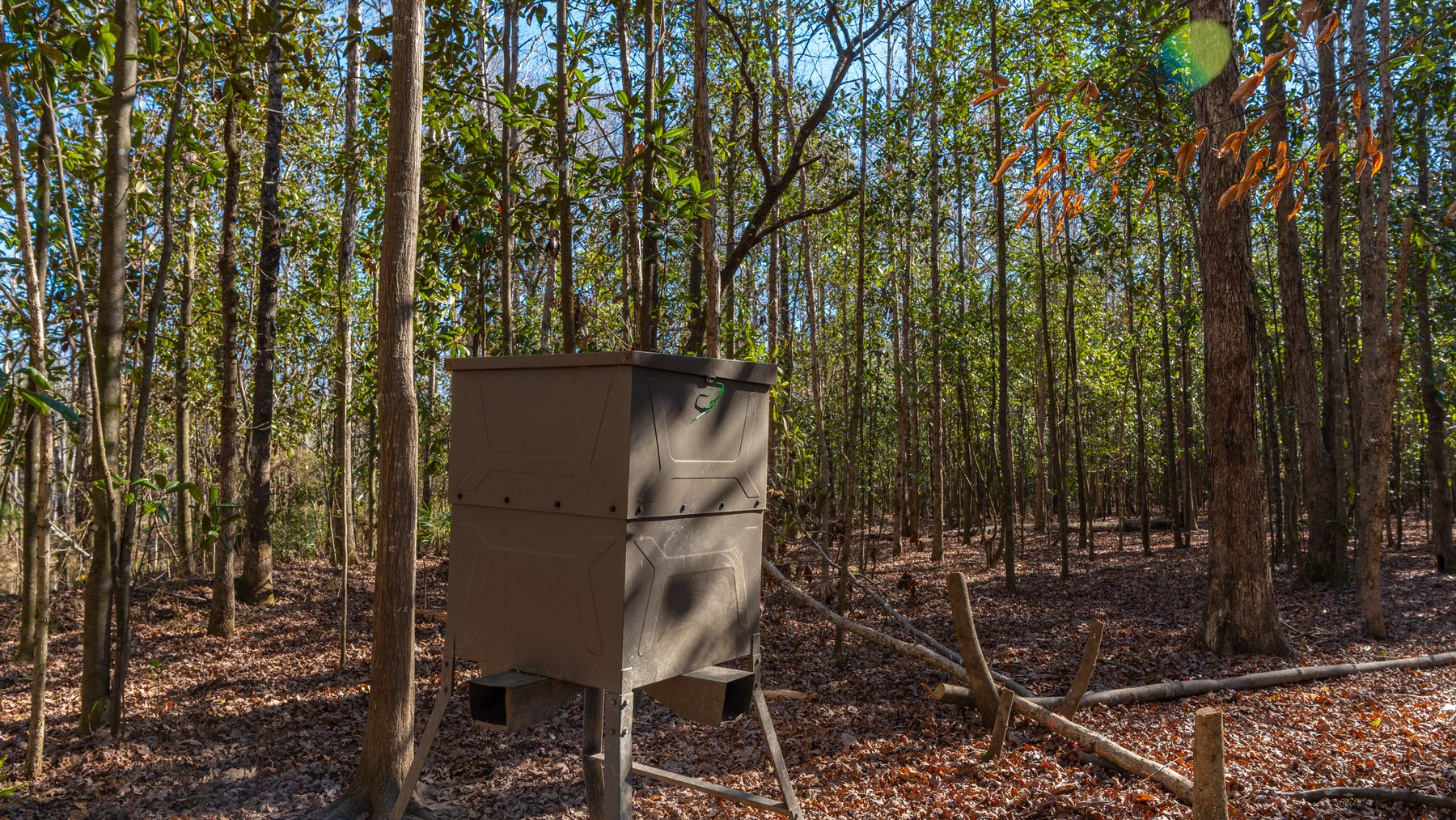 Image for 403± Total Acres - Minick Tract - Merchantable Planted Pine - Kinchafoonee Creek Frontage