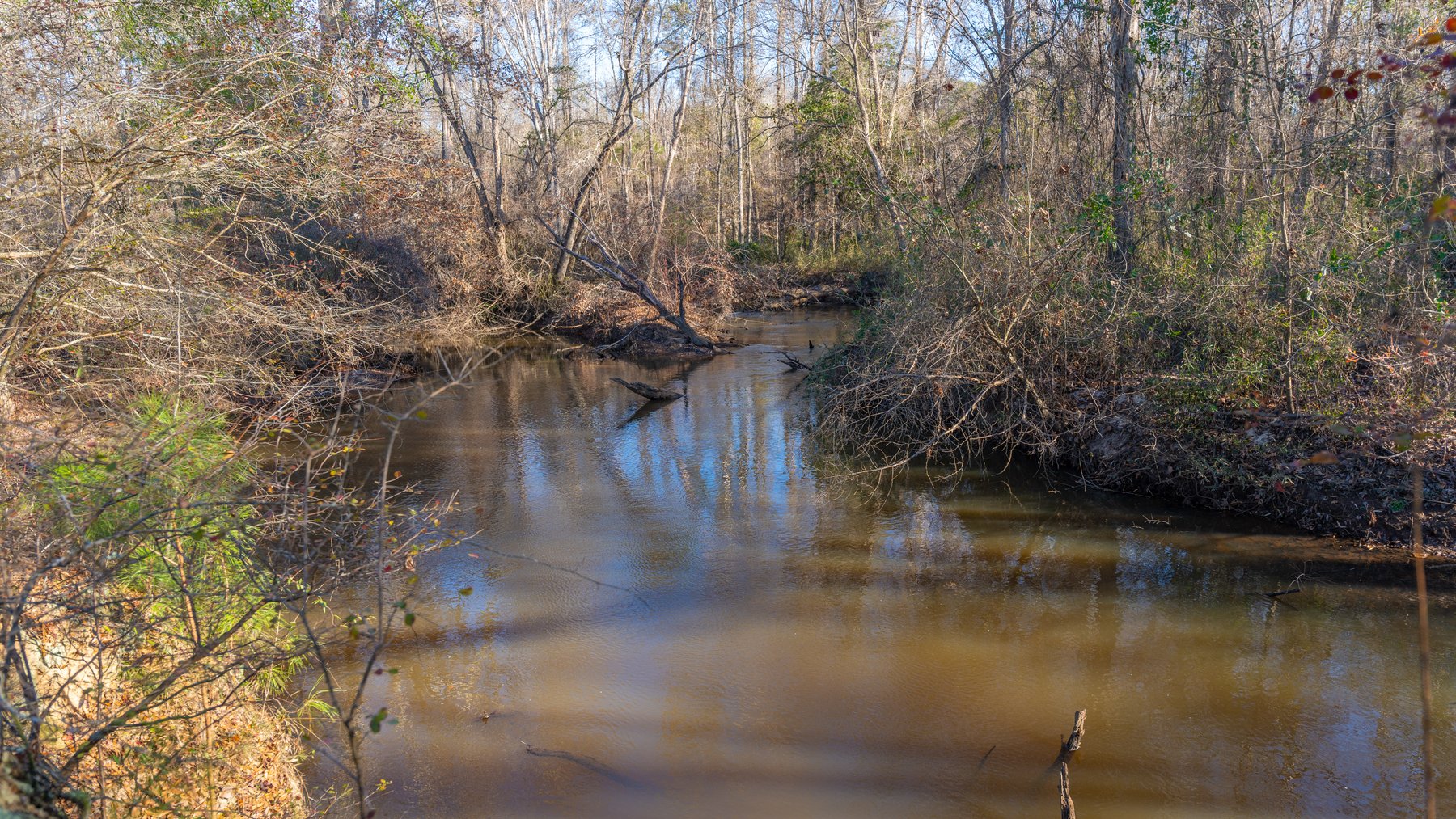 Image for 79± Total Acres - Cole Tract South - Beautiful Recreational Farm - Planted Pines & Premium Hunting - Lanahassee Creek Frontage