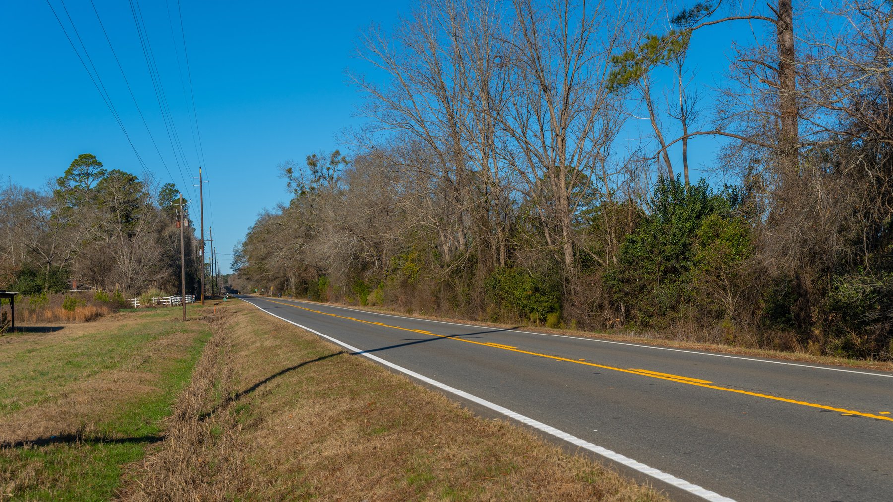 Image for 79± Total Acres - Cole Tract South - Beautiful Recreational Farm - Planted Pines & Premium Hunting - Lanahassee Creek Frontage