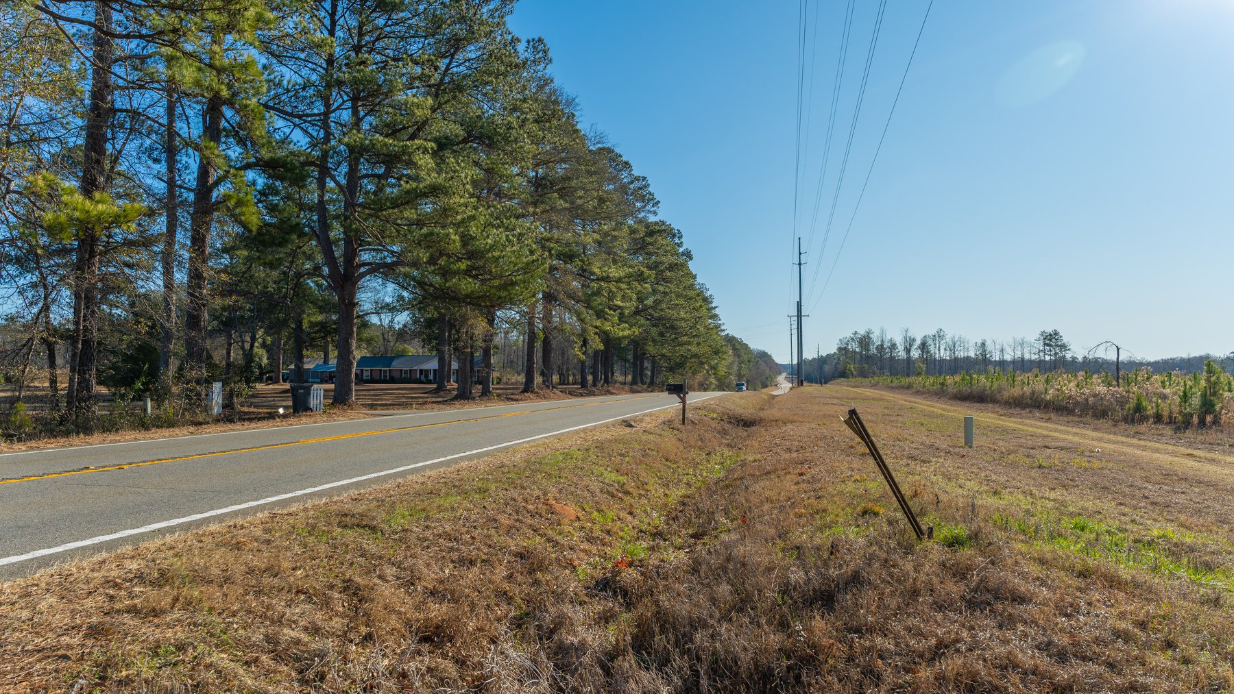Image for 79± Total Acres - Cole Tract South - Beautiful Recreational Farm - Planted Pines & Premium Hunting - Lanahassee Creek Frontage