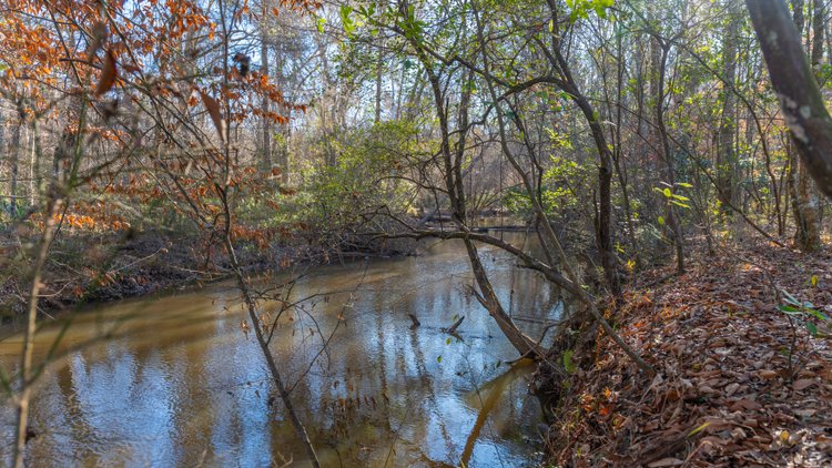 Image for 79± Total Acres - Cole Tract South - Beautiful Recreational Farm - Planted Pines & Premium Hunting - Lanahassee Creek Frontage
