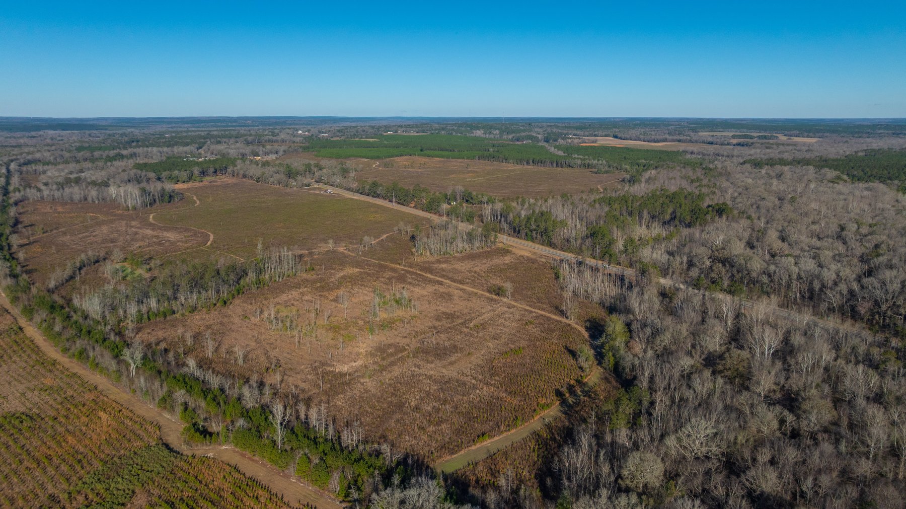 Image for 79± Total Acres - Cole Tract South - Beautiful Recreational Farm - Planted Pines & Premium Hunting - Lanahassee Creek Frontage