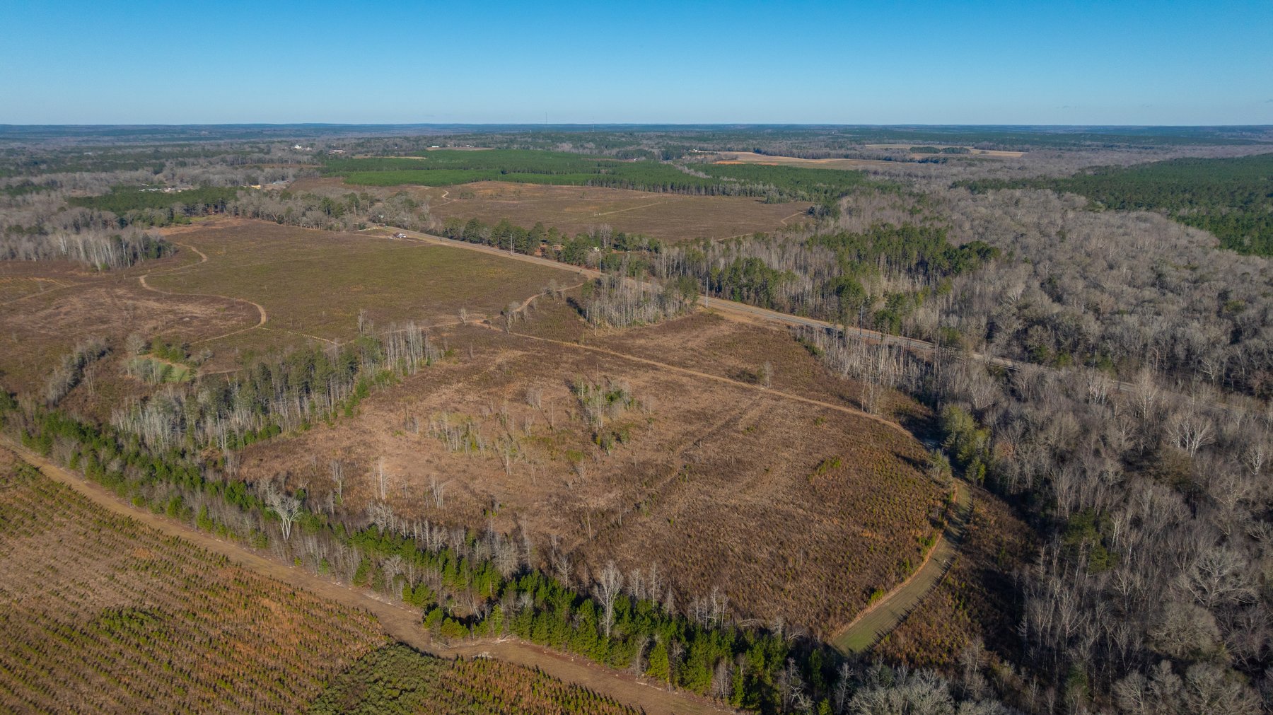 Image for 79± Total Acres - Cole Tract South - Beautiful Recreational Farm - Planted Pines & Premium Hunting - Lanahassee Creek Frontage