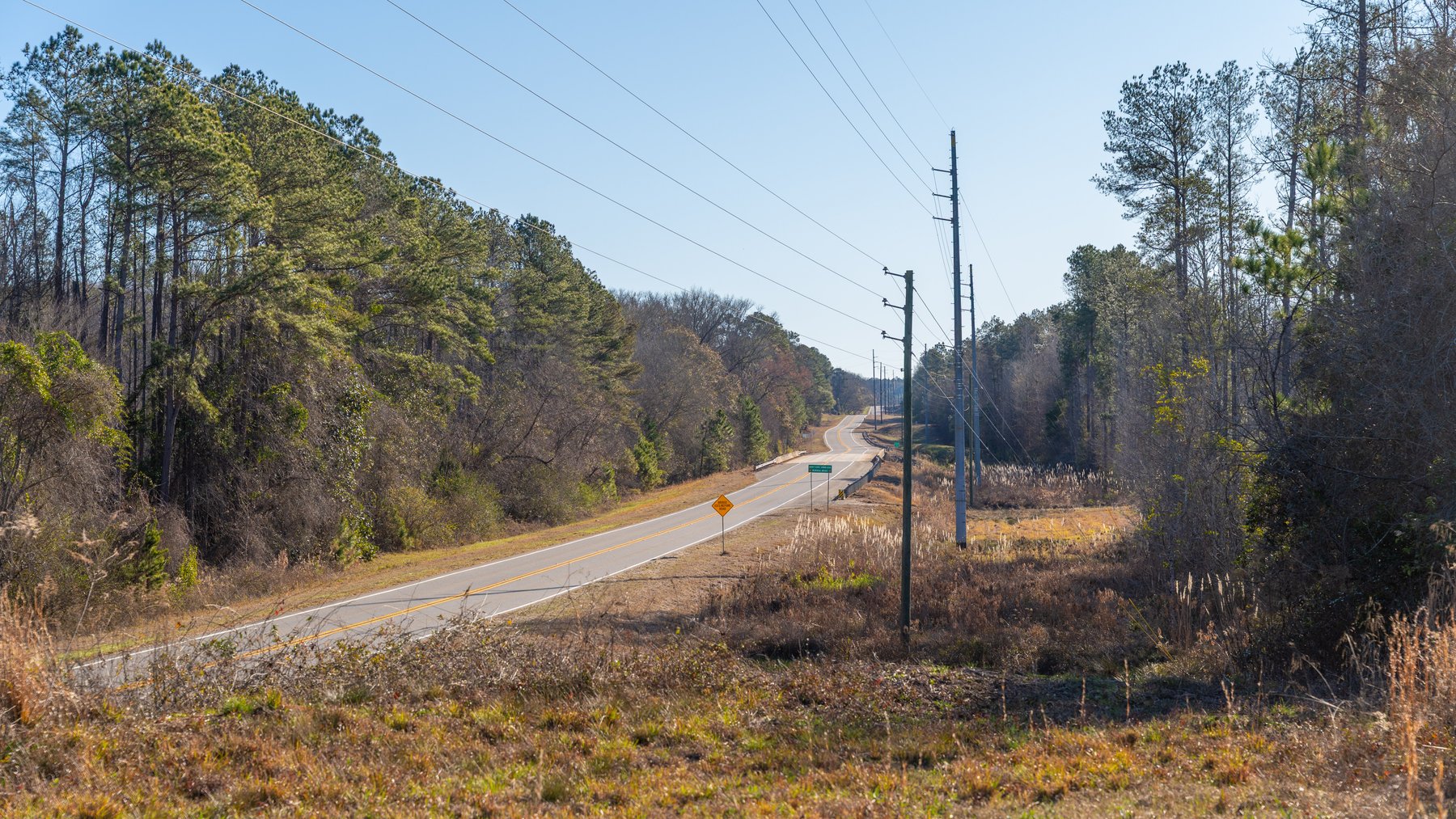 Image for 79± Total Acres - Cole Tract South - Beautiful Recreational Farm - Planted Pines & Premium Hunting - Lanahassee Creek Frontage