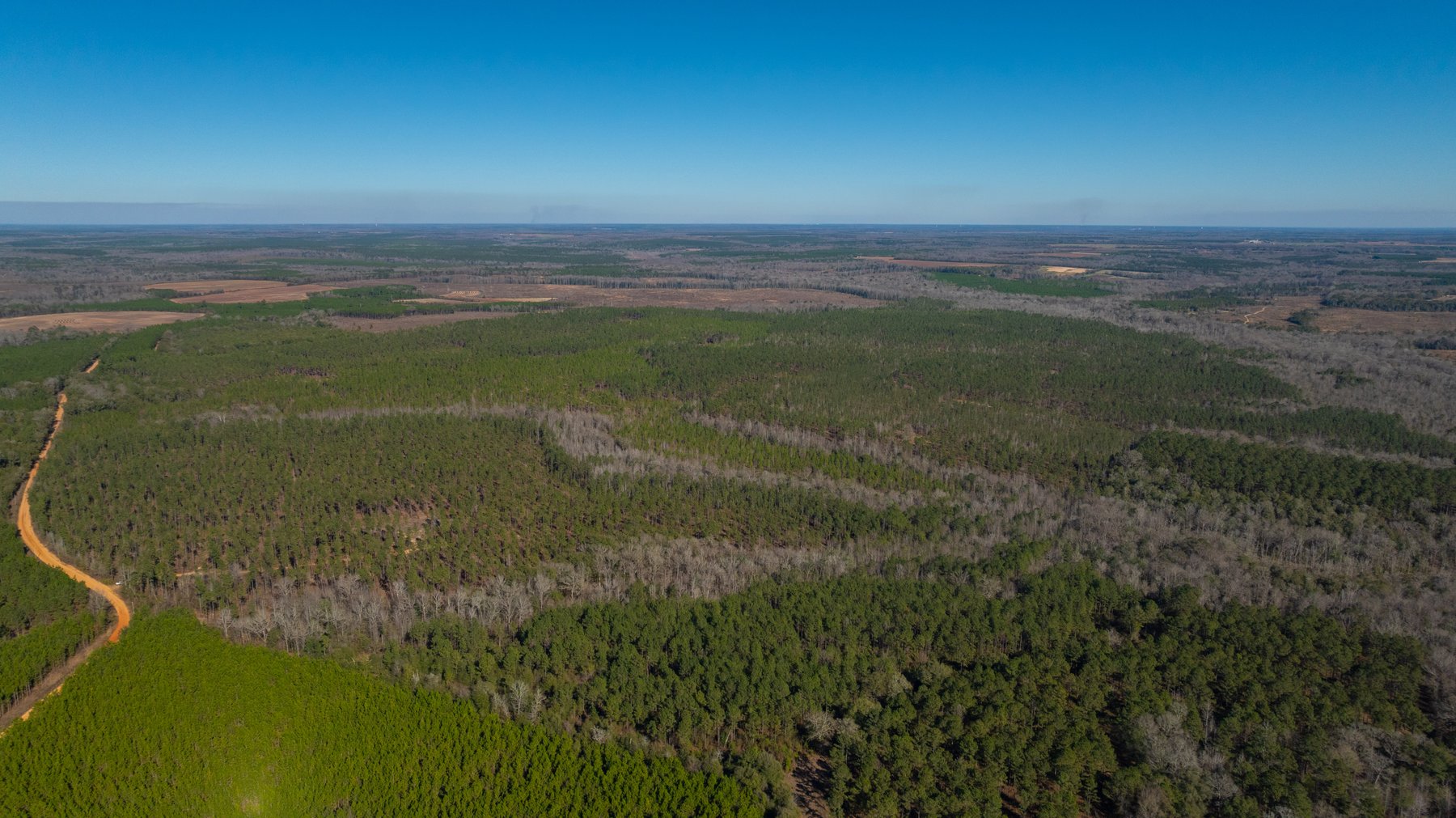 Image for 775± Total Acres - King Tract - Premium Plantation Pines - Large Timber Investment - Choctahatchee Creek Frontage