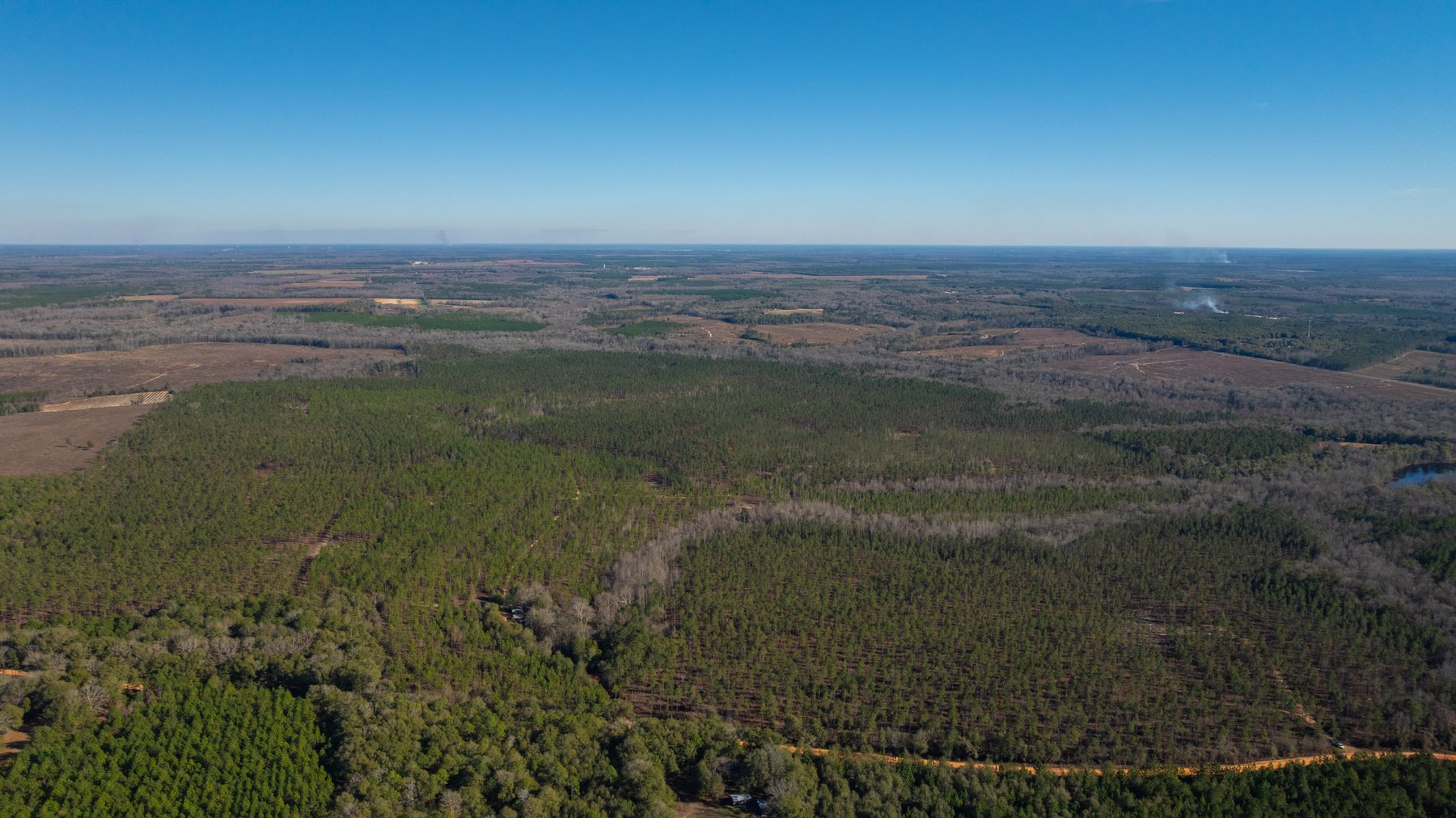Image for 775± Total Acres - King Tract - Premium Plantation Pines - Large Timber Investment - Choctahatchee Creek Frontage