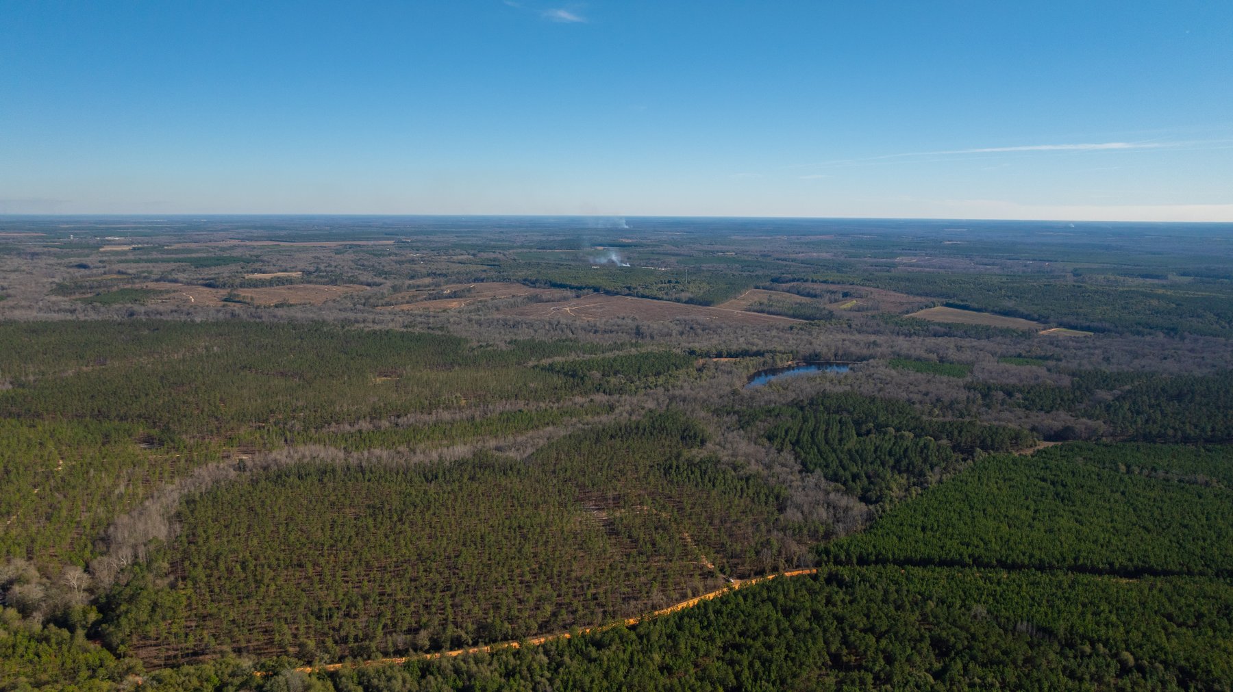 Image for 775± Total Acres - King Tract - Premium Plantation Pines - Large Timber Investment - Choctahatchee Creek Frontage