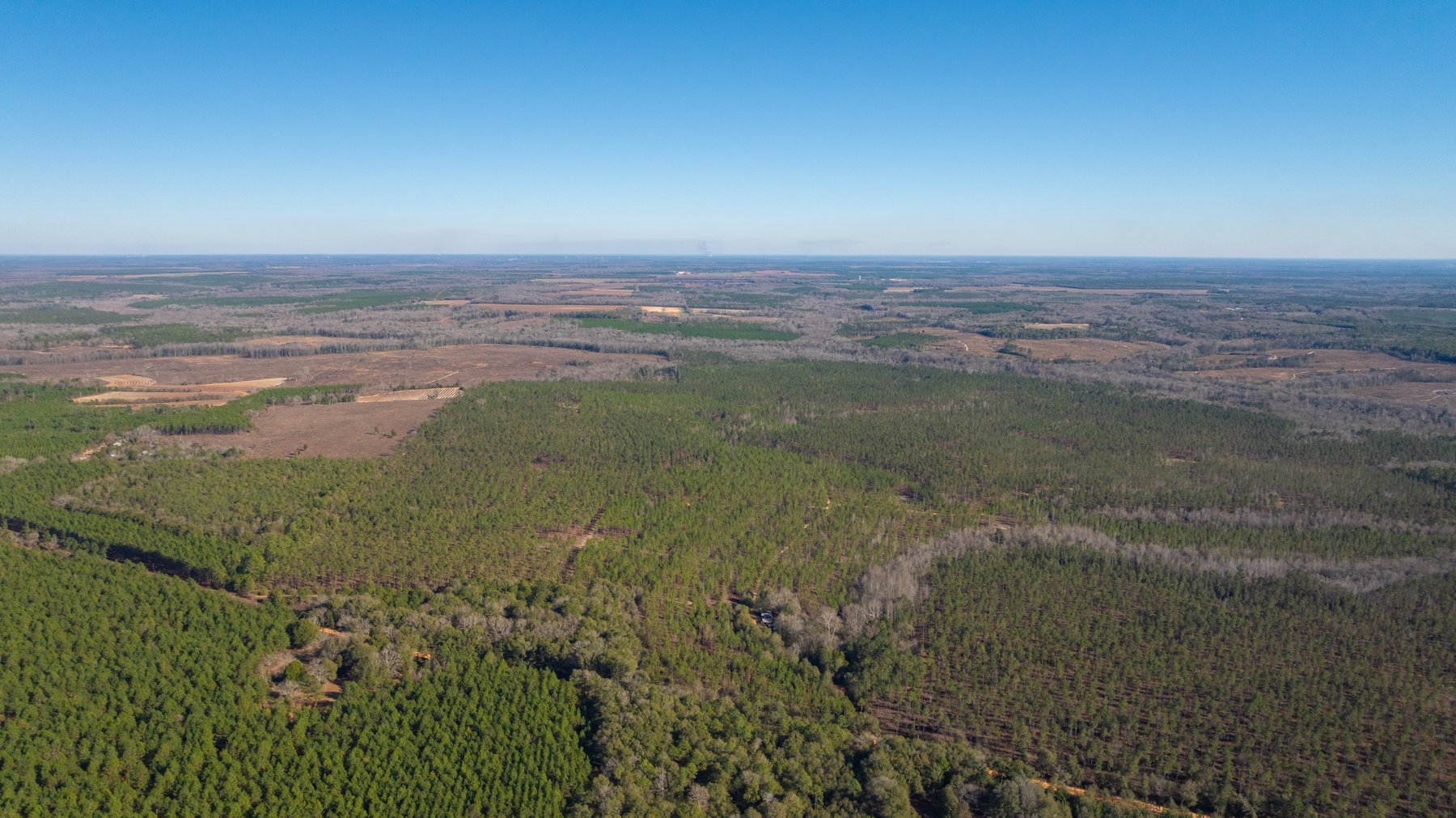 Image for 775± Total Acres - King Tract - Premium Plantation Pines - Large Timber Investment - Choctahatchee Creek Frontage