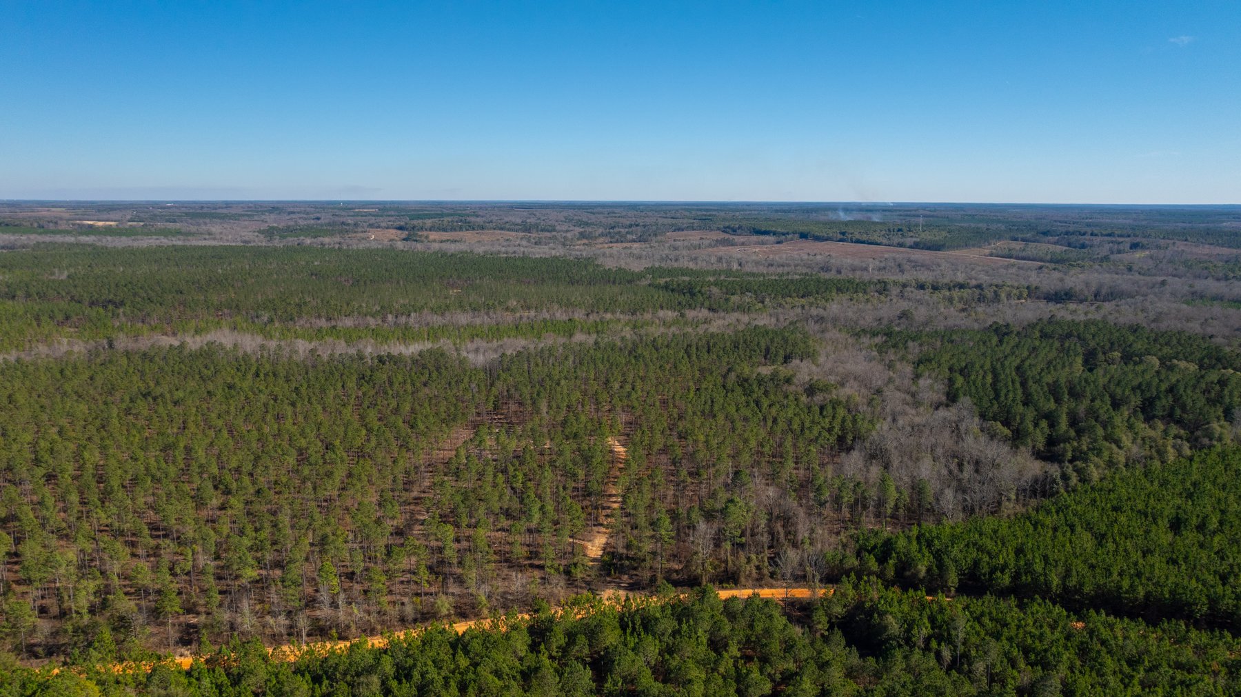 Image for 775± Total Acres - King Tract - Premium Plantation Pines - Large Timber Investment - Choctahatchee Creek Frontage