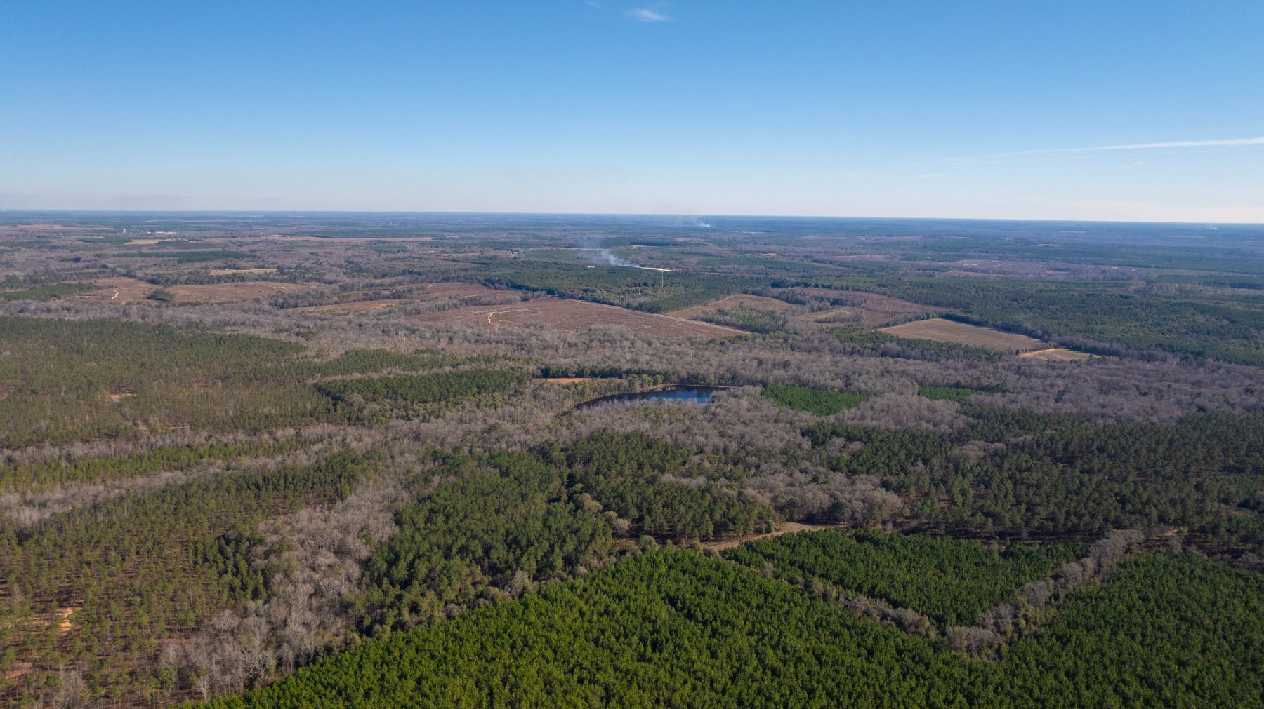 Image for 775± Total Acres - King Tract - Premium Plantation Pines - Large Timber Investment - Choctahatchee Creek Frontage