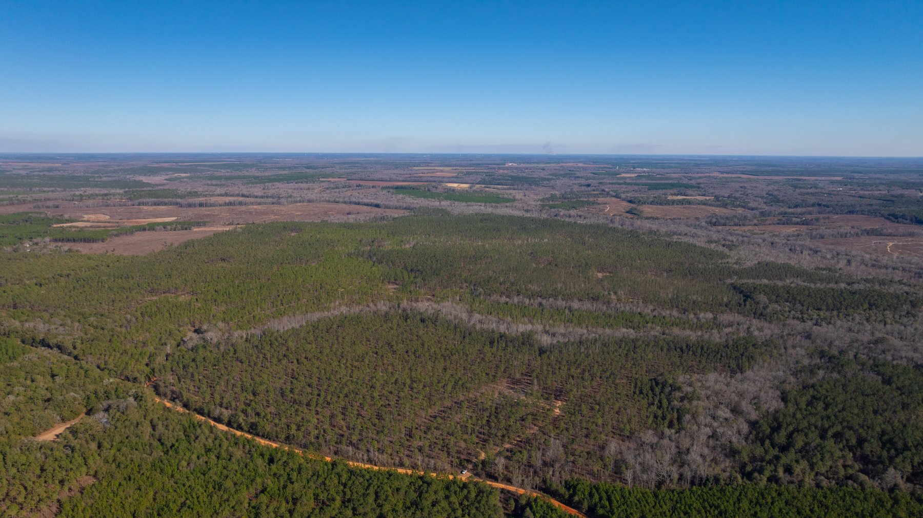 Image for 775± Total Acres - King Tract - Premium Plantation Pines - Large Timber Investment - Choctahatchee Creek Frontage