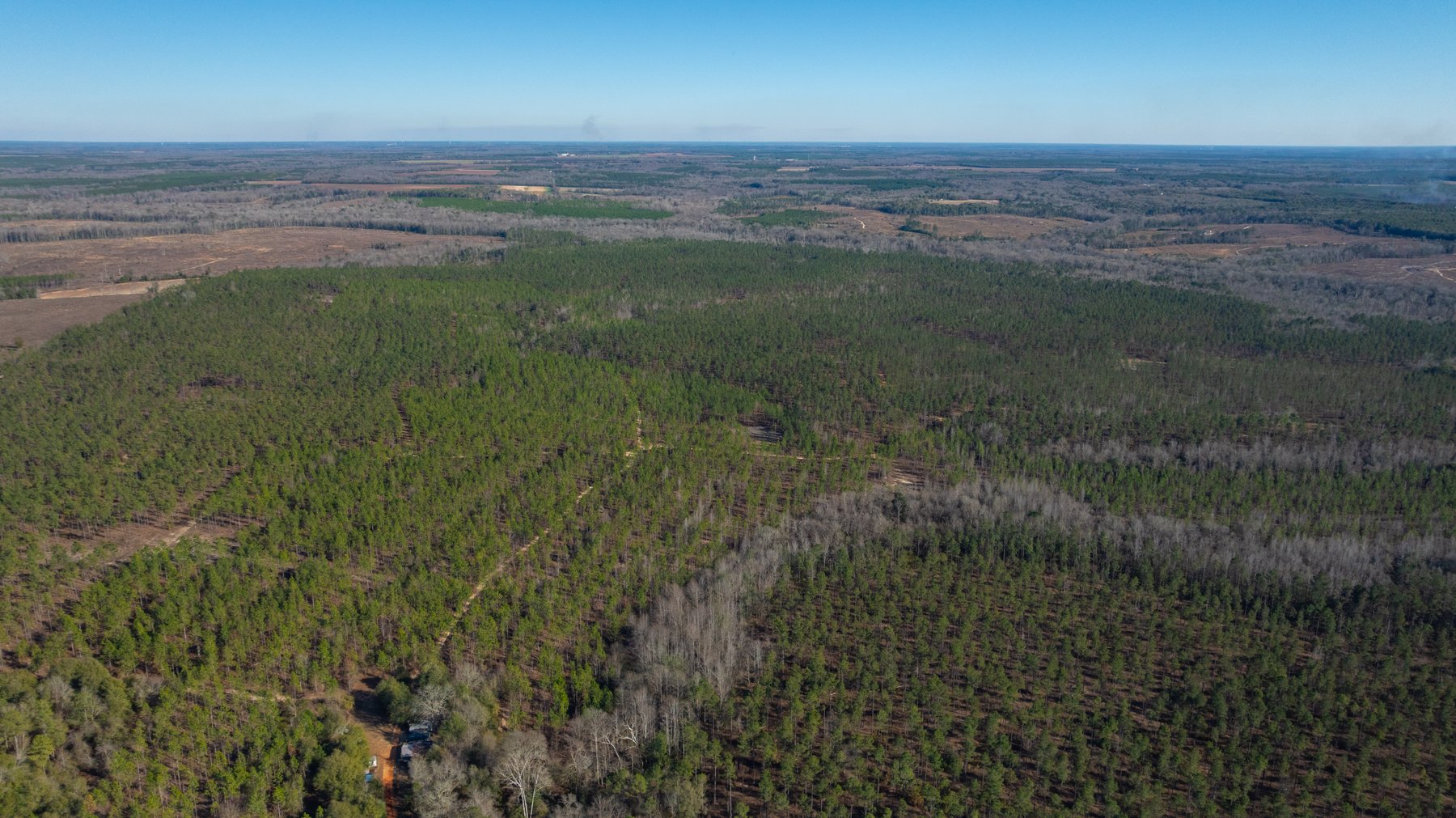 Image for 775± Total Acres - King Tract - Premium Plantation Pines - Large Timber Investment - Choctahatchee Creek Frontage