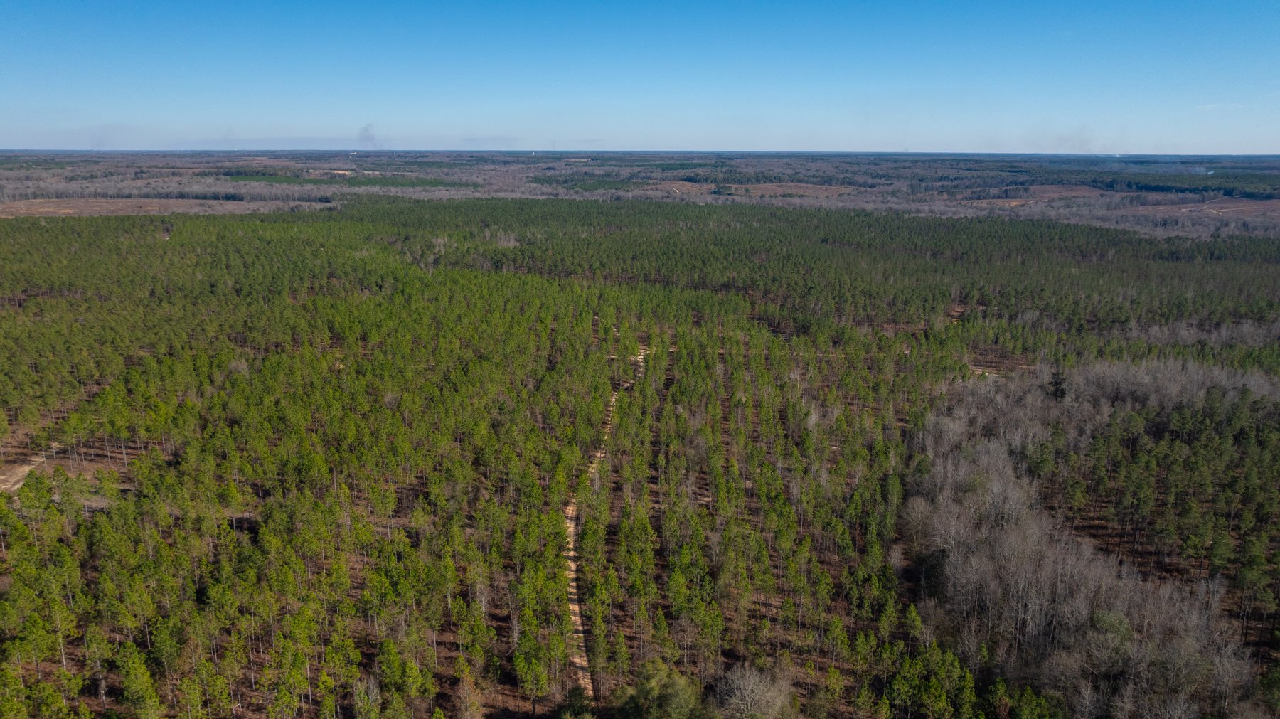 Image for 775± Total Acres - King Tract - Premium Plantation Pines - Large Timber Investment - Choctahatchee Creek Frontage