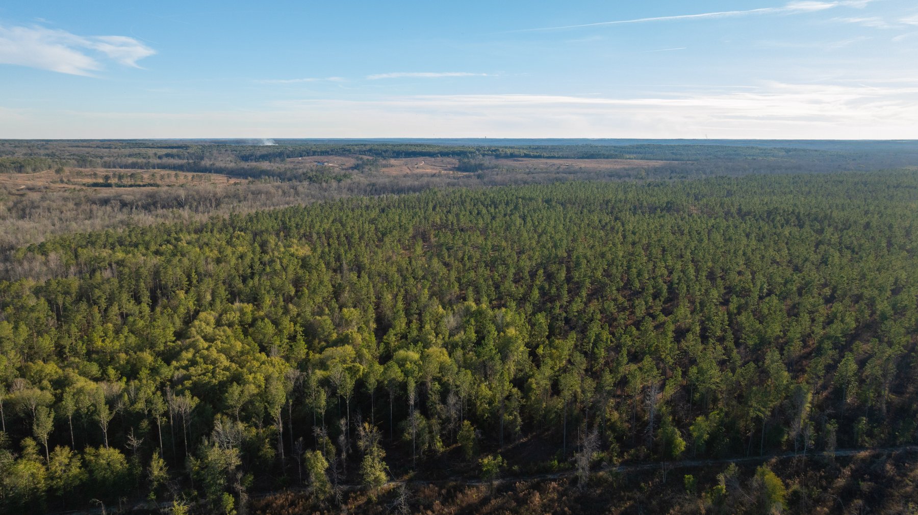 Image for 775± Total Acres - King Tract - Premium Plantation Pines - Large Timber Investment - Choctahatchee Creek Frontage