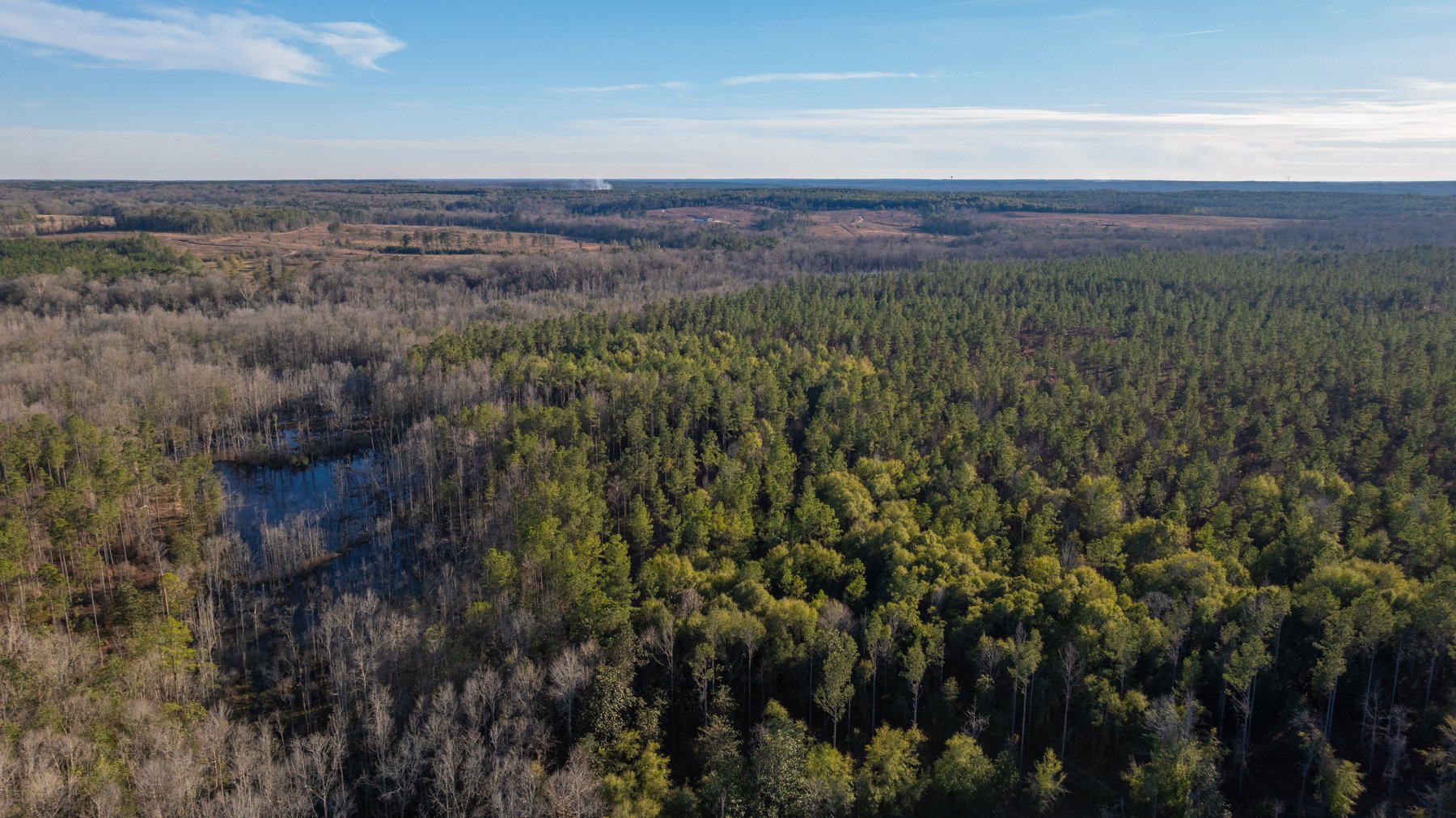 Image for 775± Total Acres - King Tract - Premium Plantation Pines - Large Timber Investment - Choctahatchee Creek Frontage