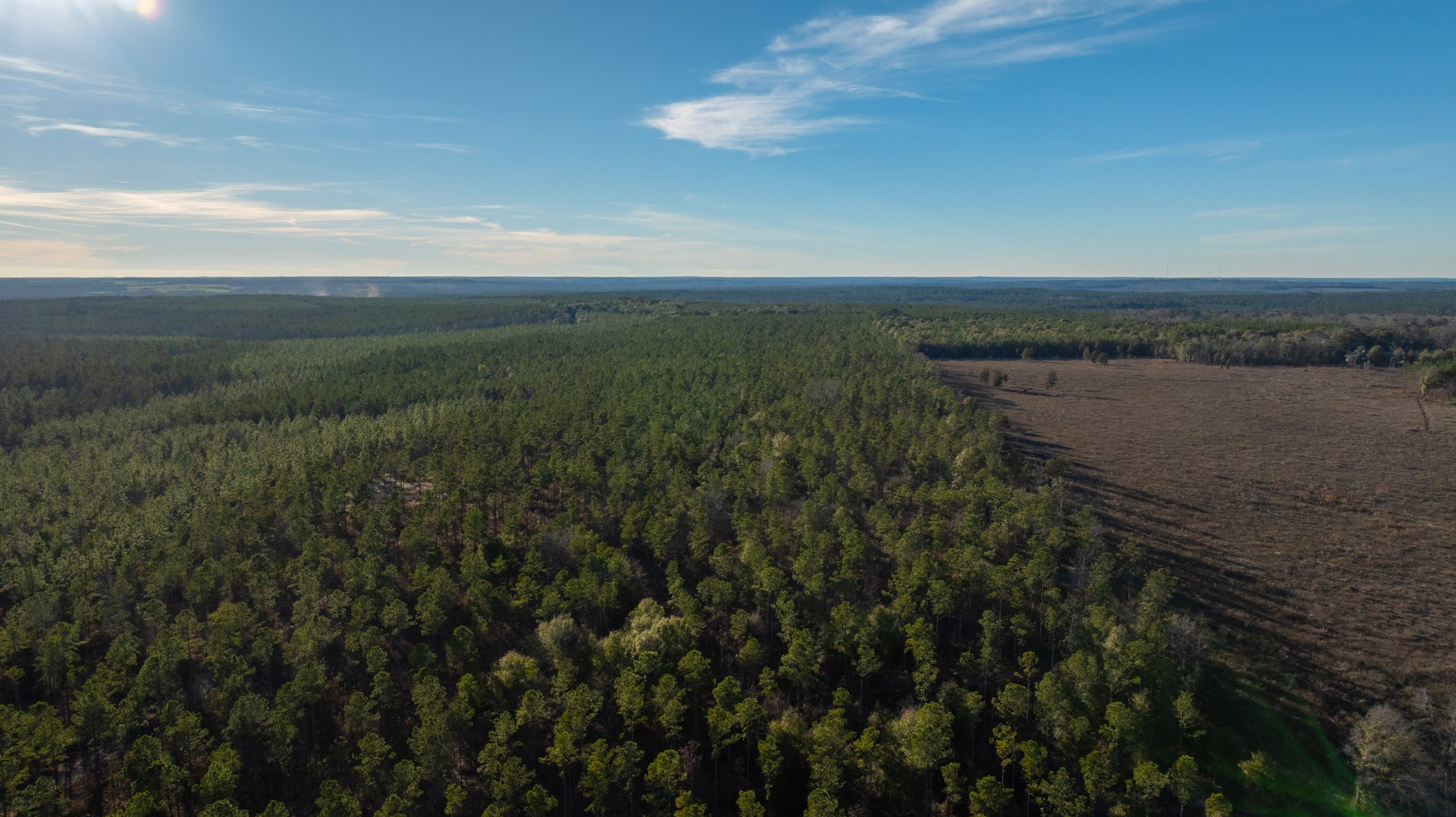 Image for 775± Total Acres - King Tract - Premium Plantation Pines - Large Timber Investment - Choctahatchee Creek Frontage