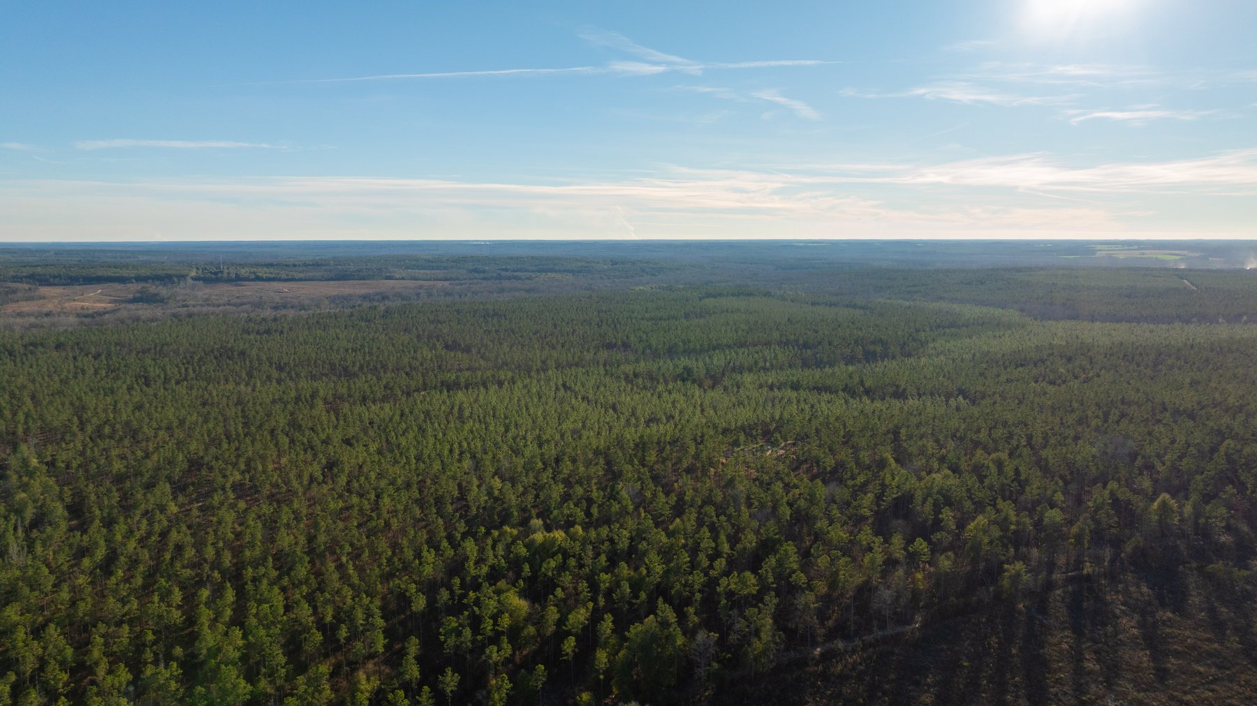 Image for 775± Total Acres - King Tract - Premium Plantation Pines - Large Timber Investment - Choctahatchee Creek Frontage