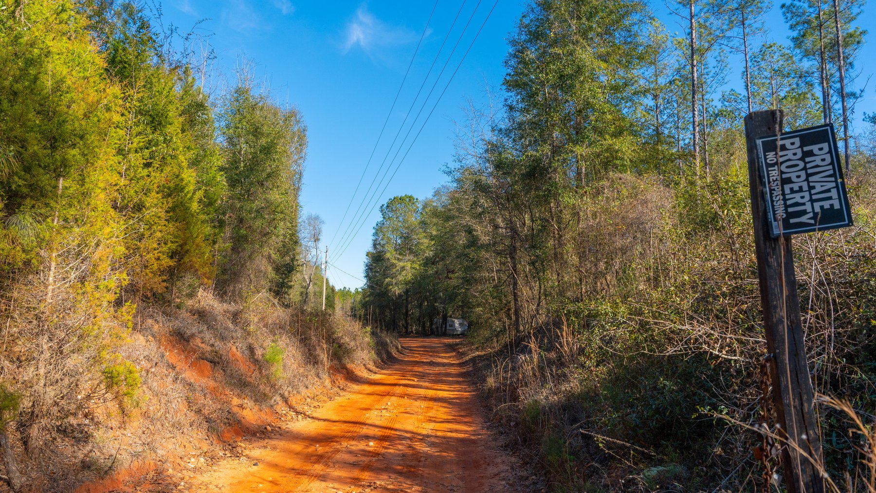 Image for 775± Total Acres - King Tract - Premium Plantation Pines - Large Timber Investment - Choctahatchee Creek Frontage