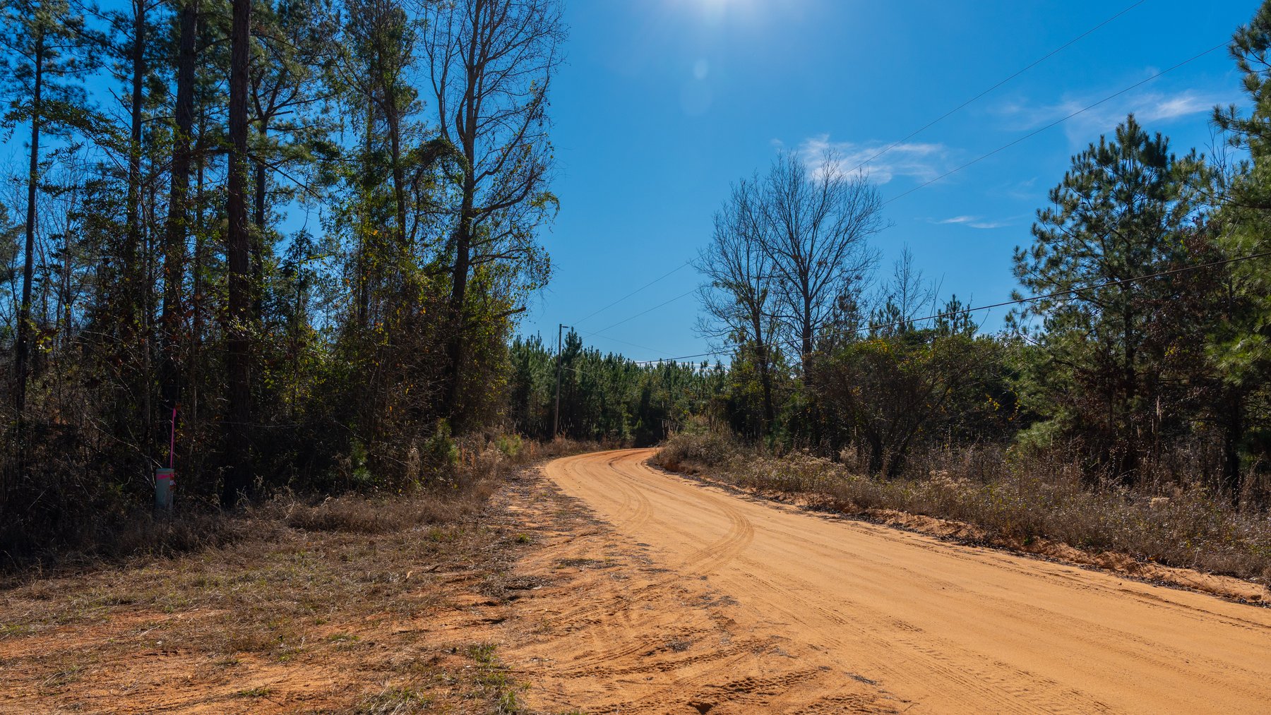 Image for 775± Total Acres - King Tract - Premium Plantation Pines - Large Timber Investment - Choctahatchee Creek Frontage