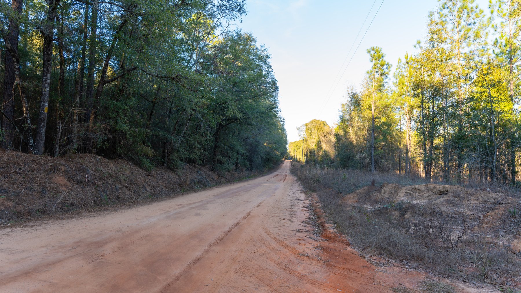 Image for 775± Total Acres - King Tract - Premium Plantation Pines - Large Timber Investment - Choctahatchee Creek Frontage