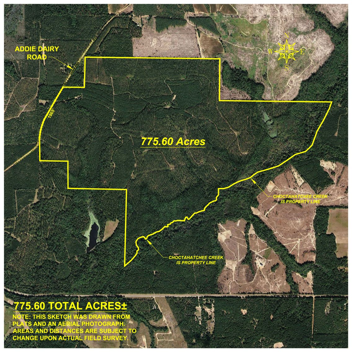 Image for 775± Total Acres - King Tract - Premium Plantation Pines - Large Timber Investment - Choctahatchee Creek Frontage