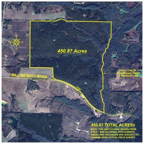 Image for 450± Total Acres - Jefferson Tract North - Exceptional Timber Investment - Plantation Pines & Lanahassee Creek Frontage