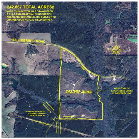 Image for 242± Total Acres - Jefferson Tract South - Exceptional Timber Investment - Lanahassee Creek Frontage