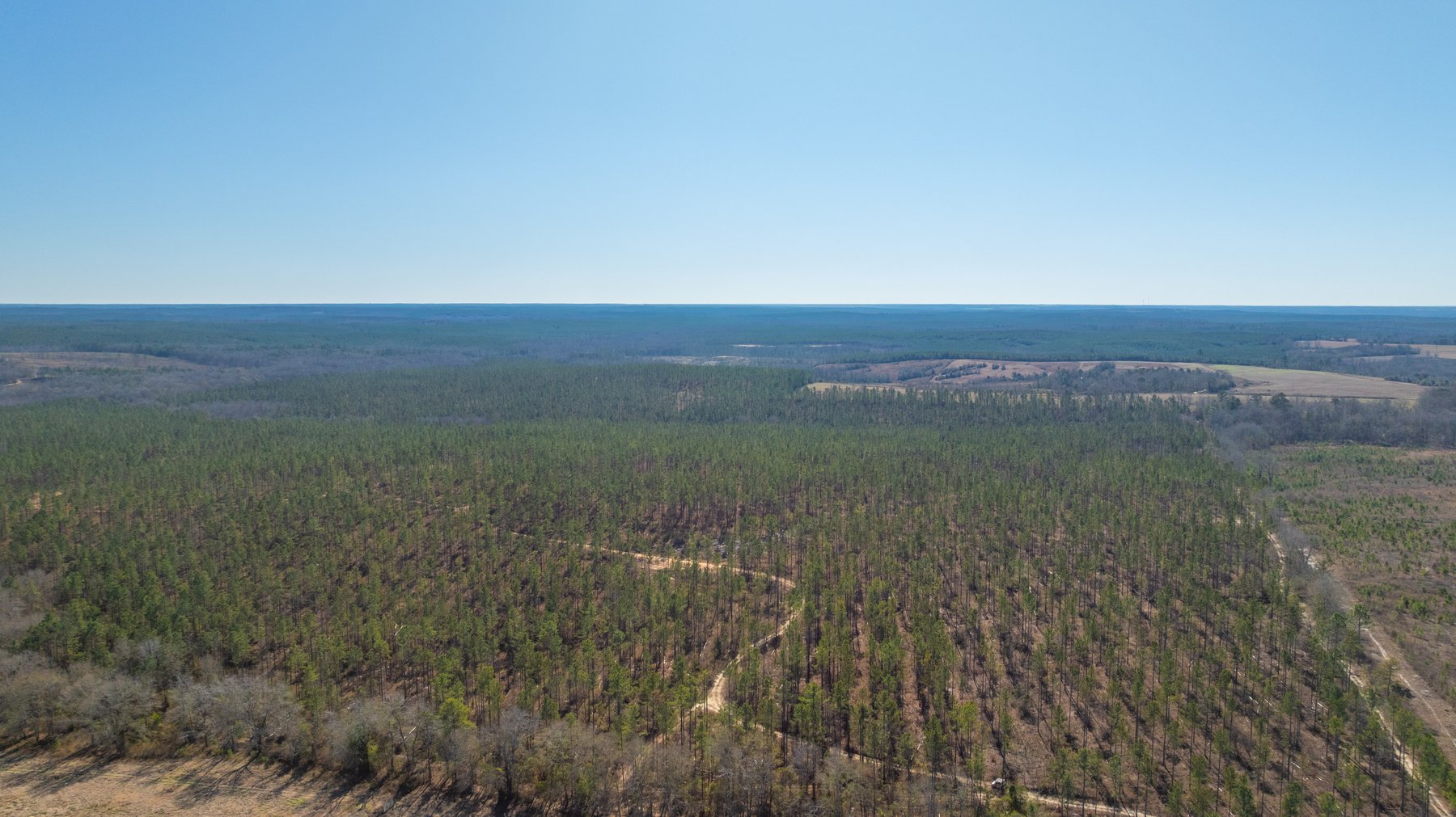 Image for 450± Total Acres - Jefferson Tract North - Exceptional Timber Investment - Plantation Pines & Lanahassee Creek Frontage