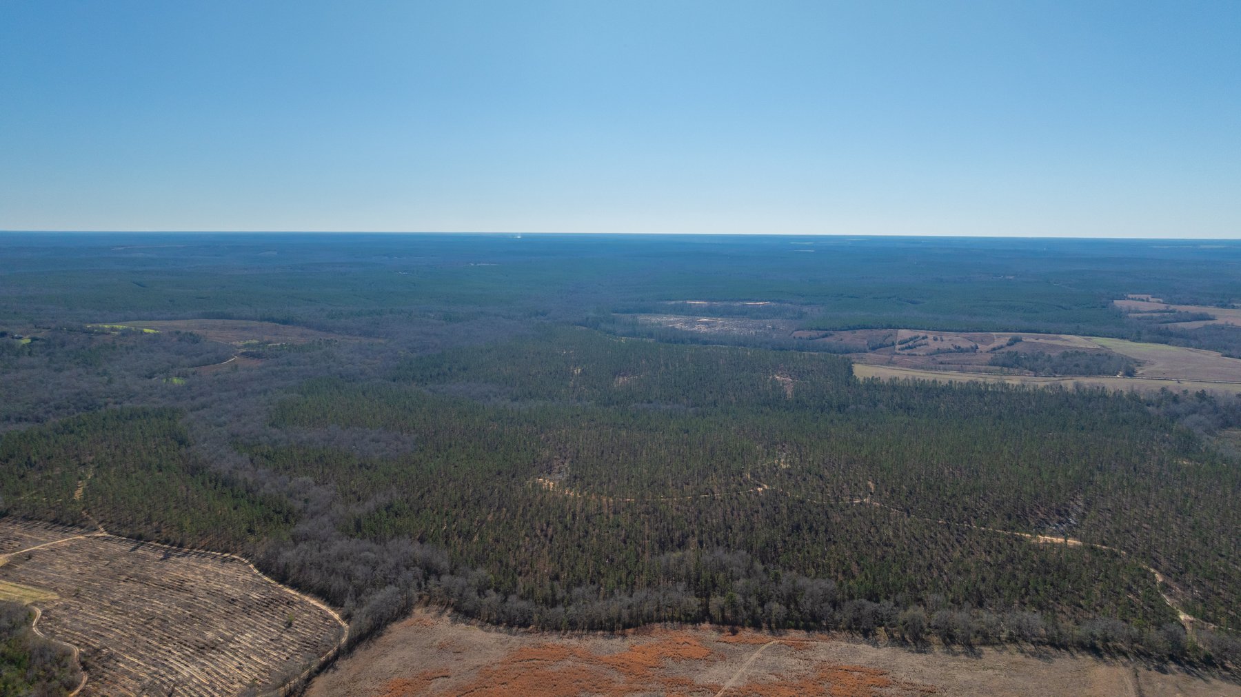 Image for 450± Total Acres - Jefferson Tract North - Exceptional Timber Investment - Plantation Pines & Lanahassee Creek Frontage