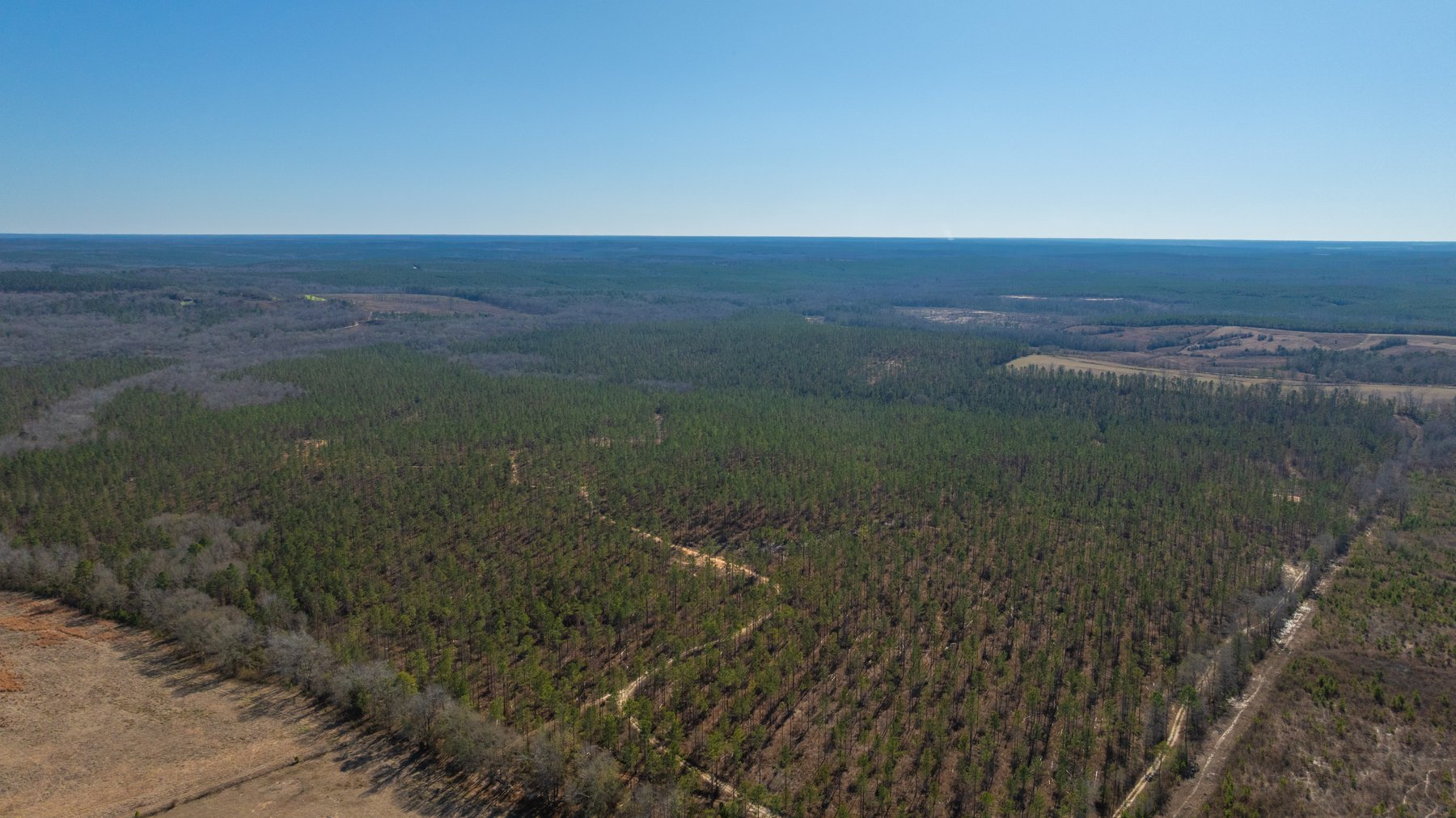 Image for 450± Total Acres - Jefferson Tract North - Exceptional Timber Investment - Plantation Pines & Lanahassee Creek Frontage
