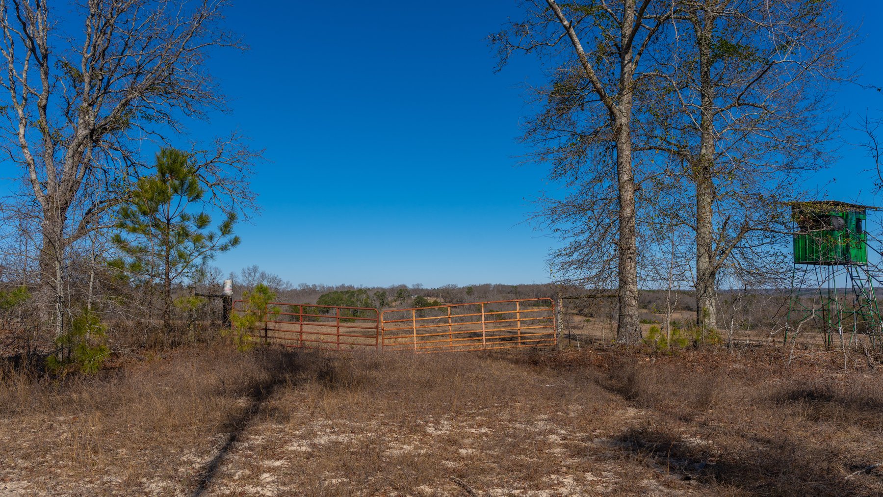 Image for 450± Total Acres - Jefferson Tract North - Exceptional Timber Investment - Plantation Pines & Lanahassee Creek Frontage