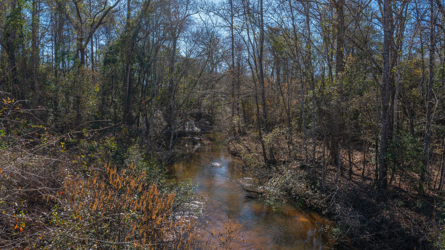 Image for 450± Total Acres - Jefferson Tract North - Exceptional Timber Investment - Plantation Pines & Lanahassee Creek Frontage