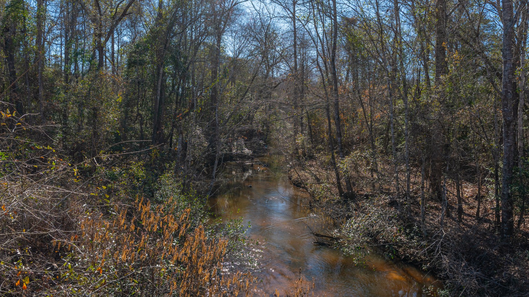 Image for 450± Total Acres - Jefferson Tract North - Exceptional Timber Investment - Plantation Pines & Lanahassee Creek Frontage