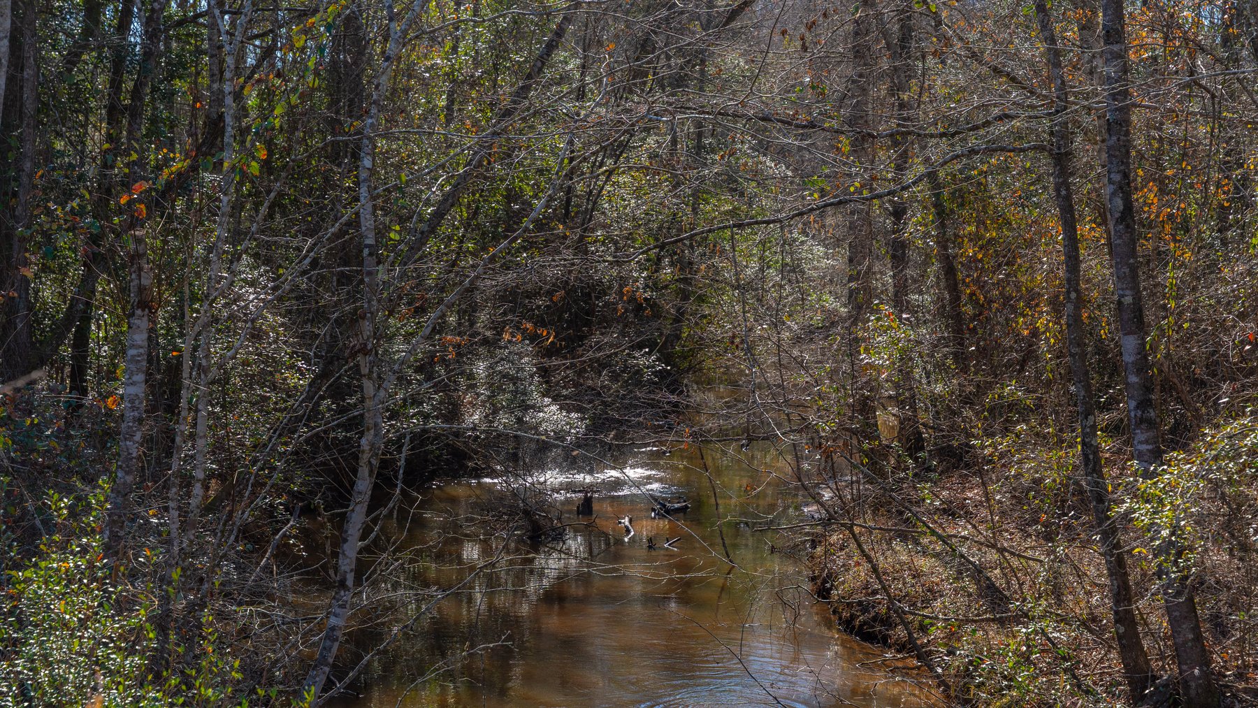 Image for 450± Total Acres - Jefferson Tract North - Exceptional Timber Investment - Plantation Pines & Lanahassee Creek Frontage