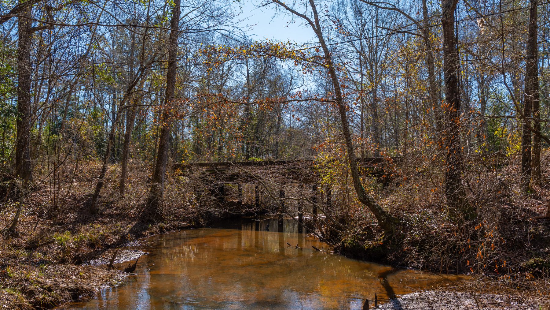Image for 450± Total Acres - Jefferson Tract North - Exceptional Timber Investment - Plantation Pines & Lanahassee Creek Frontage