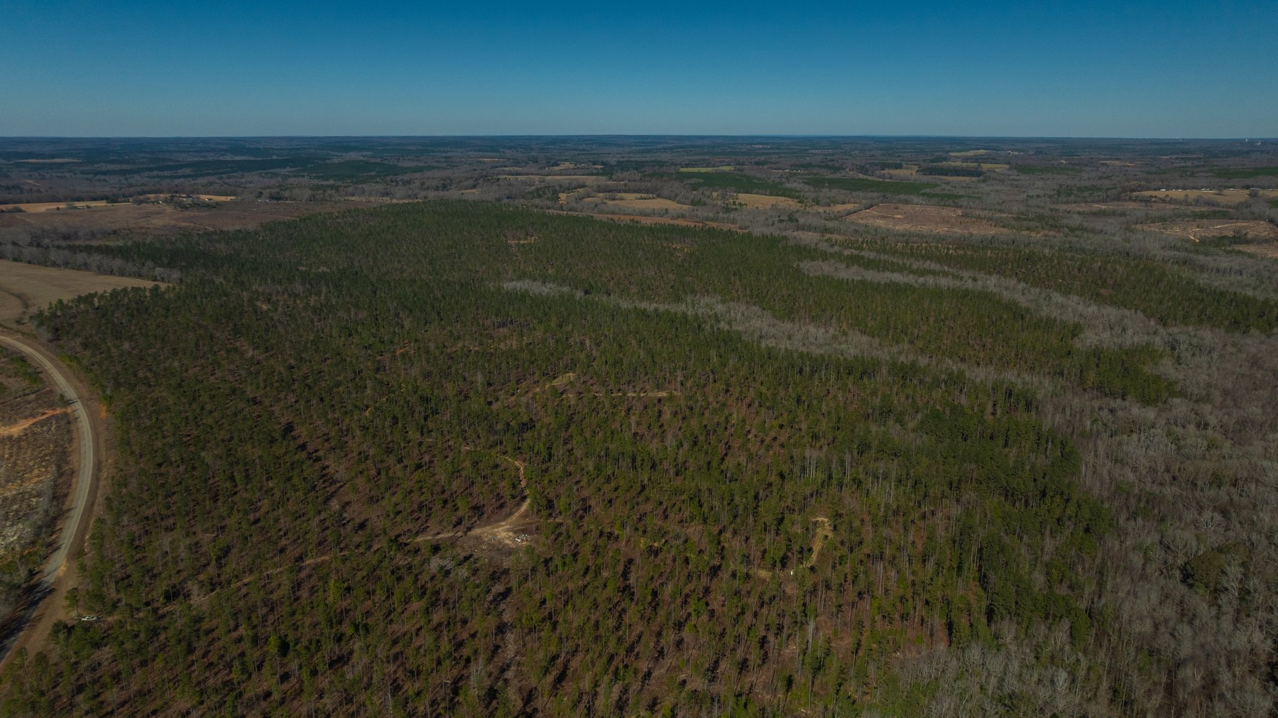 Image for 450± Total Acres - Jefferson Tract North - Exceptional Timber Investment - Plantation Pines & Lanahassee Creek Frontage