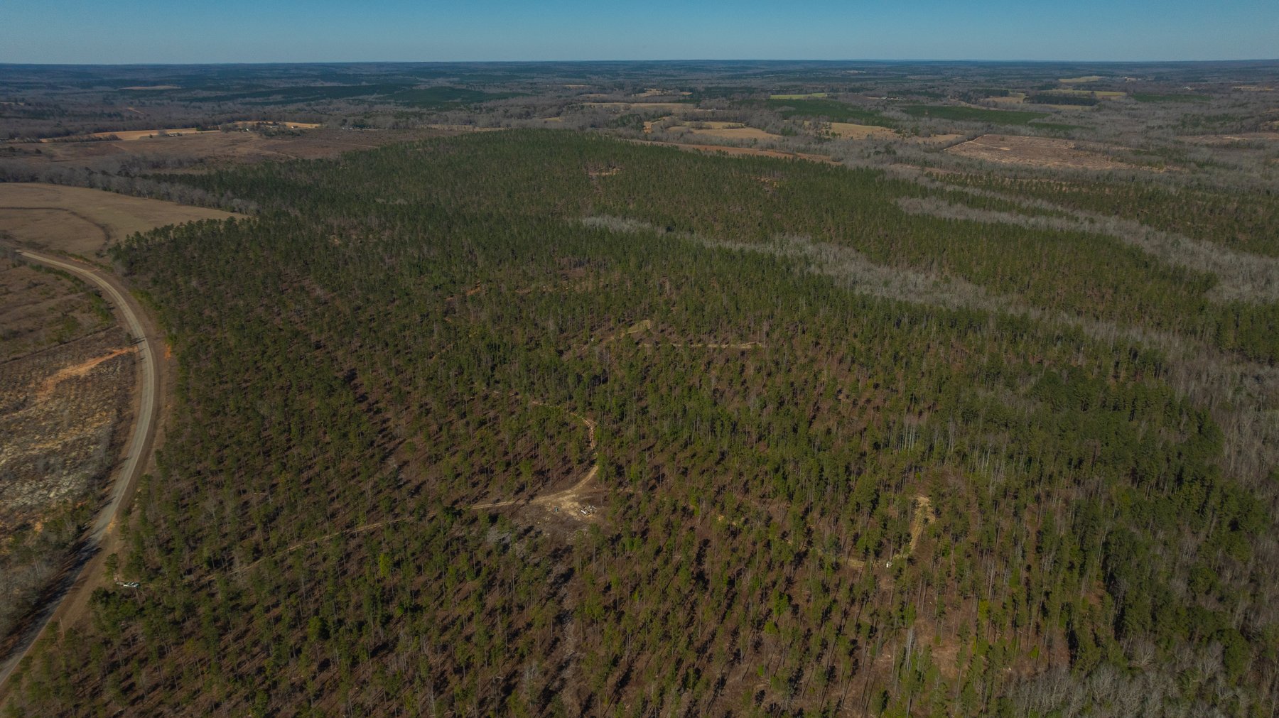 Image for 450± Total Acres - Jefferson Tract North - Exceptional Timber Investment - Plantation Pines & Lanahassee Creek Frontage