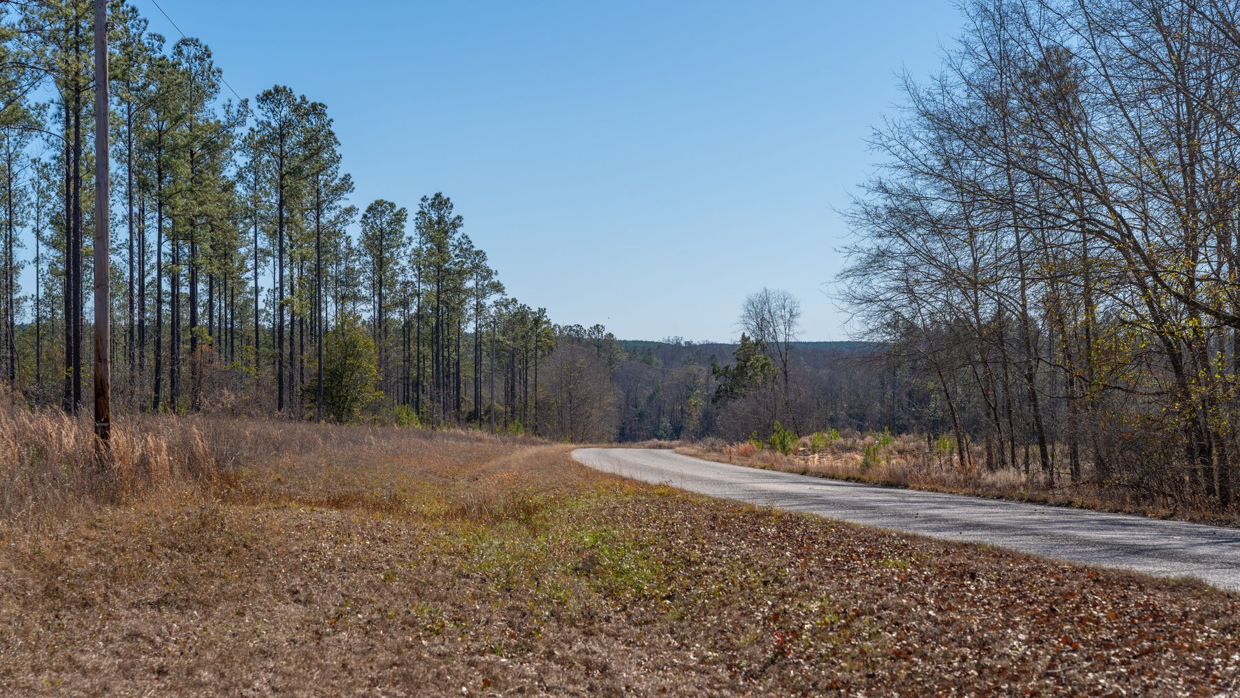 Image for 450± Total Acres - Jefferson Tract North - Exceptional Timber Investment - Plantation Pines & Lanahassee Creek Frontage
