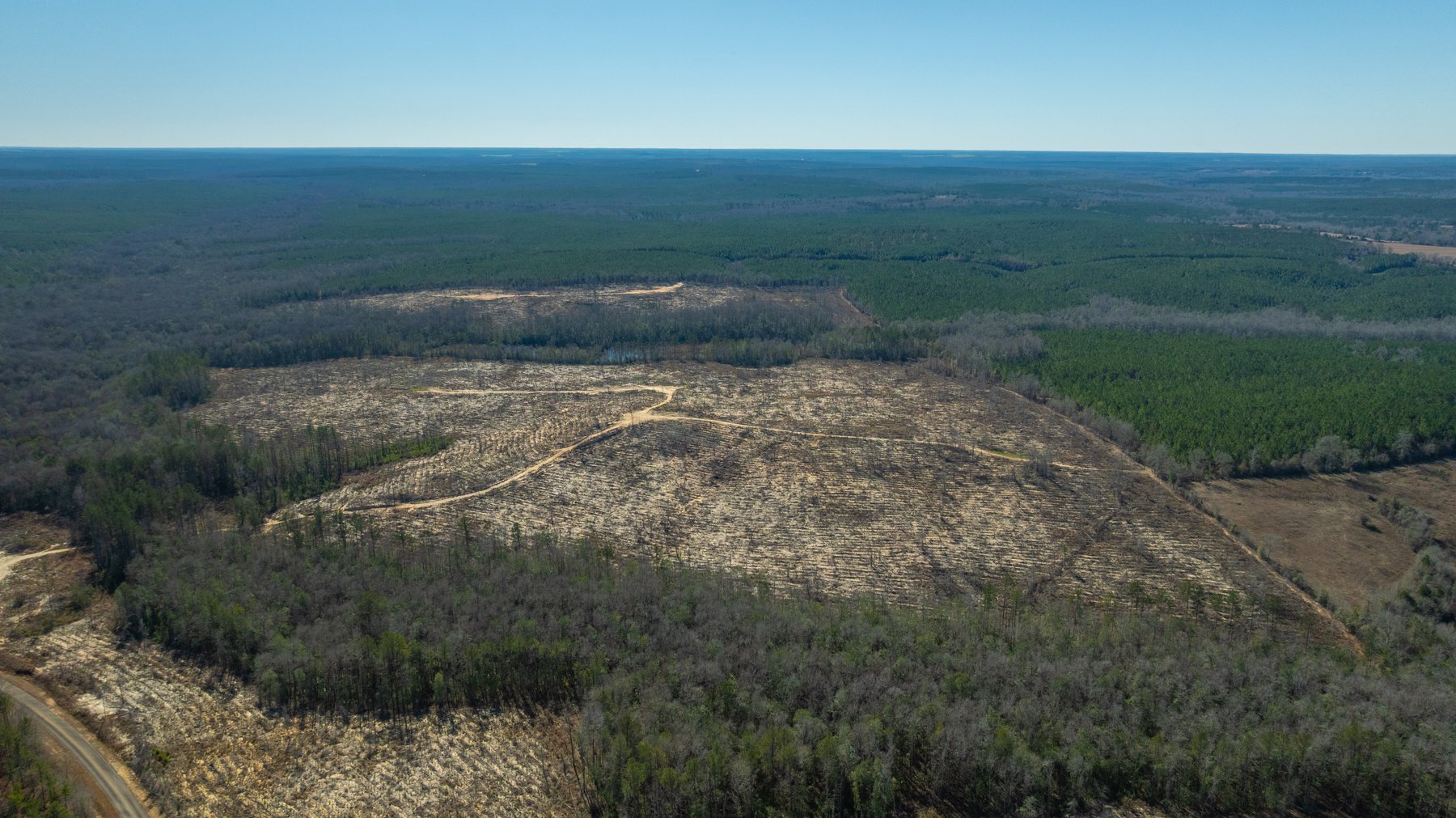 Image for 242± Total Acres - Jefferson Tract South - Exceptional Timber Investment - Lanahassee Creek Frontage