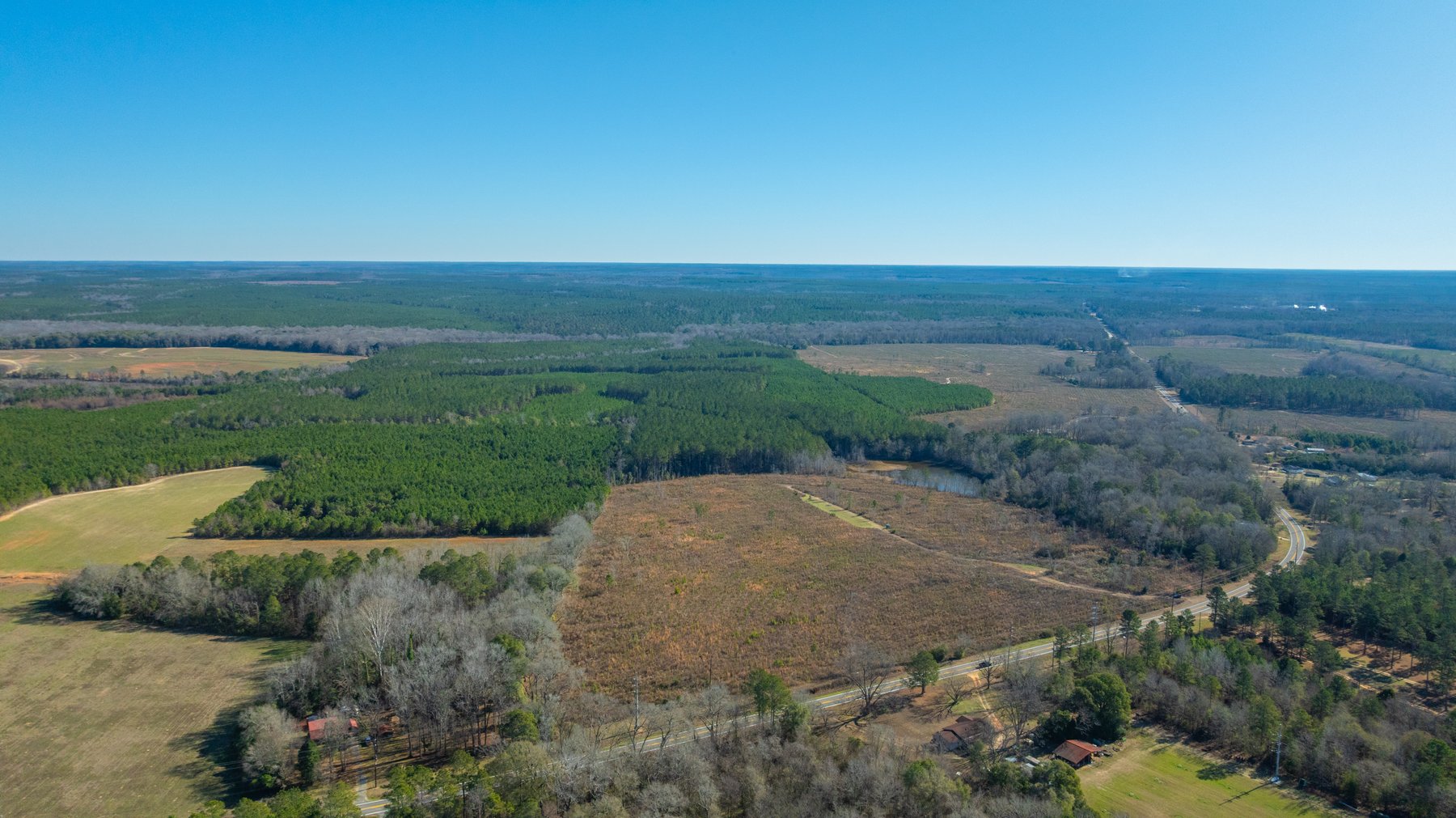 Image for 167± Total Acres - Cole Tract North - Beautiful Recreational Farm - Planted Pines & Premium Hunting - Lanahassee Creek Frontage