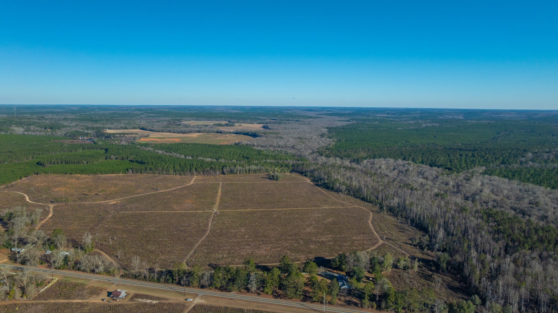 Image for 167± Total Acres - Cole Tract North - Beautiful Recreational Farm - Planted Pines & Premium Hunting - Lanahassee Creek Frontage
