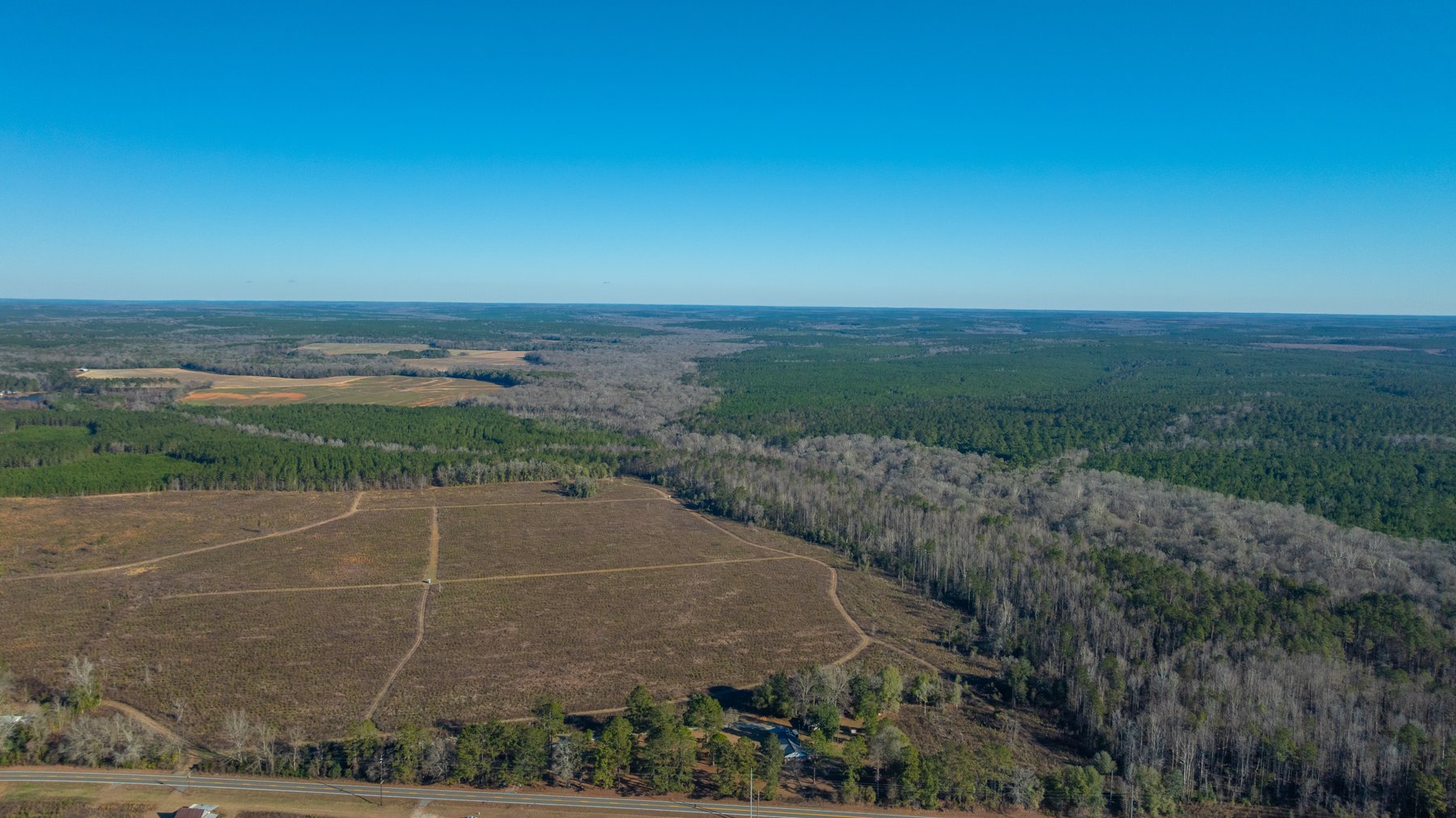 Image for 167± Total Acres - Cole Tract North - Beautiful Recreational Farm - Planted Pines & Premium Hunting - Lanahassee Creek Frontage