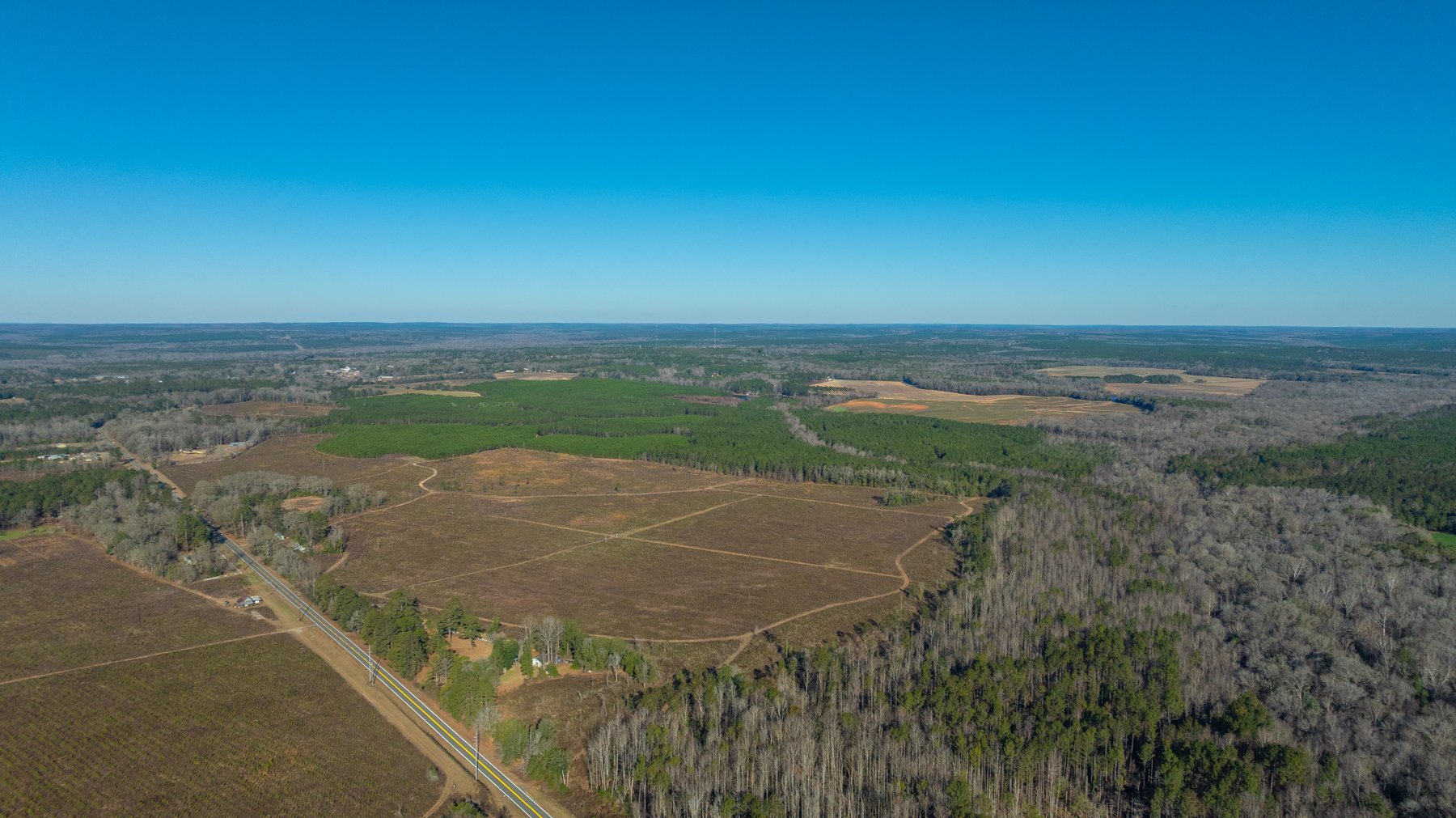 Image for 167± Total Acres - Cole Tract North - Beautiful Recreational Farm - Planted Pines & Premium Hunting - Lanahassee Creek Frontage