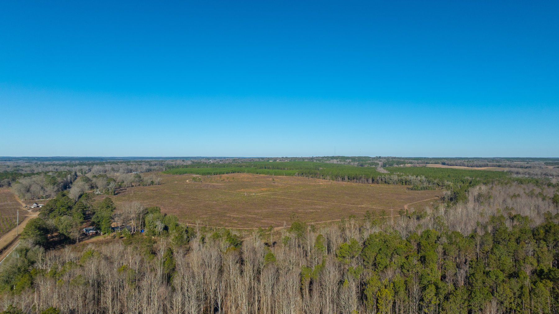 Image for 167± Total Acres - Cole Tract North - Beautiful Recreational Farm - Planted Pines & Premium Hunting - Lanahassee Creek Frontage