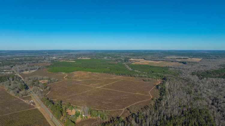Image for 167± Total Acres - Cole Tract North - Beautiful Recreational Farm - Planted Pines & Premium Hunting - Lanahassee Creek Frontage