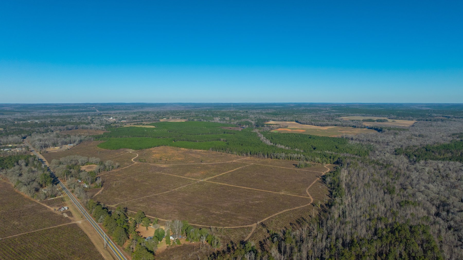 Image for 167± Total Acres - Cole Tract North - Beautiful Recreational Farm - Planted Pines & Premium Hunting - Lanahassee Creek Frontage